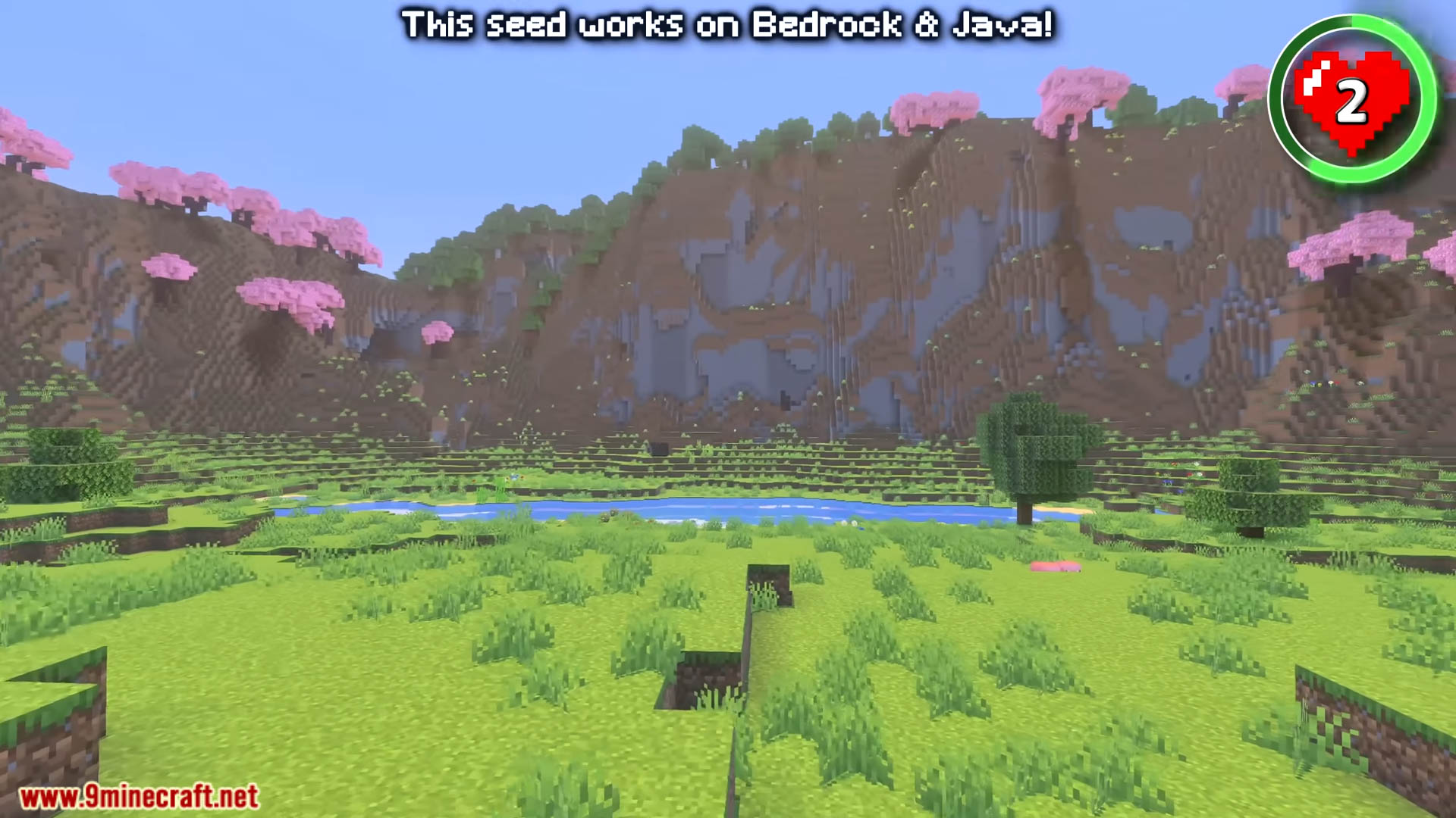 Top 25 Best New Seeds For Minecraft (26.1.2, 1.21.1) – Java/Bedrock Edition 5 Top 25 best new seeds for minecraft screenshots 48