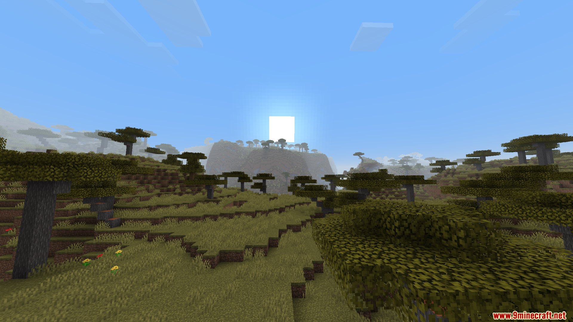 Worldweaver Neoforge Mod (1.21.11, 1.21.1) – Ports Worldweaver To Neoforge 4 Wide view of savanna landscape with scattered trees