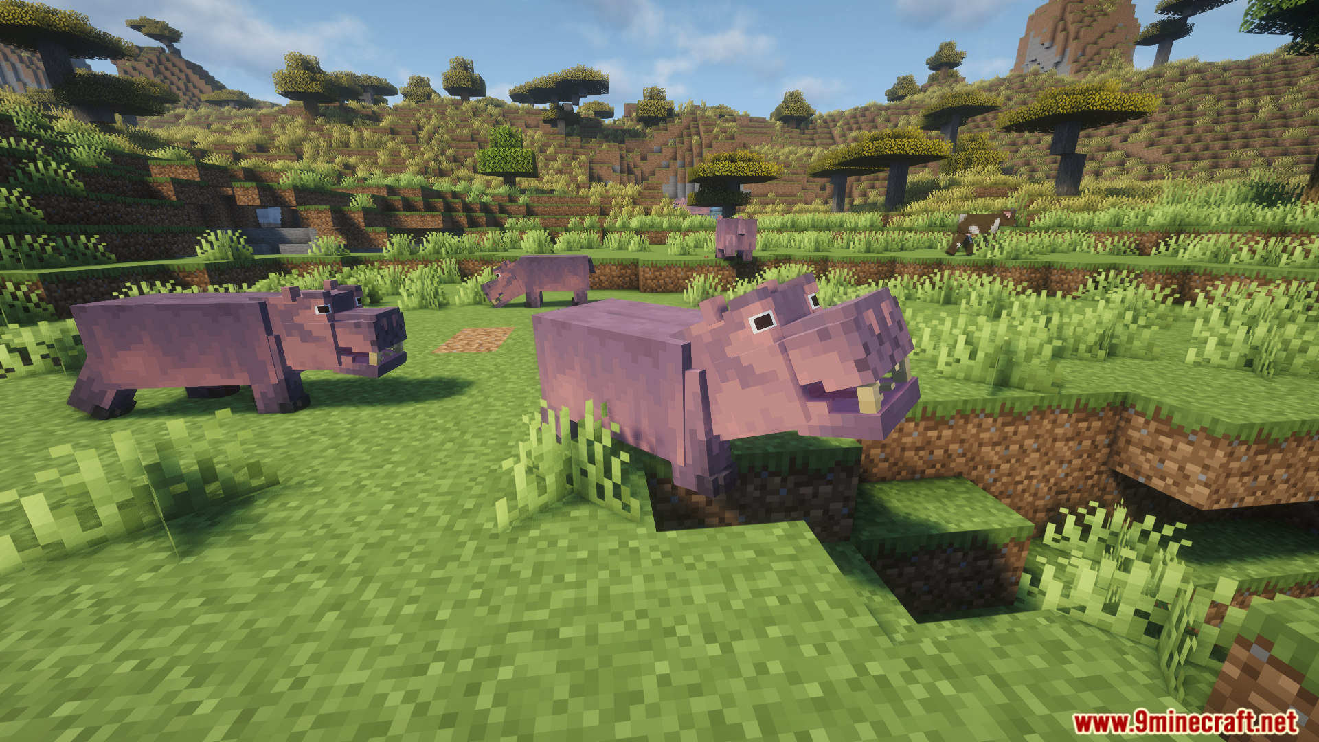 Wild hippos wandering through a sunny savanna biome