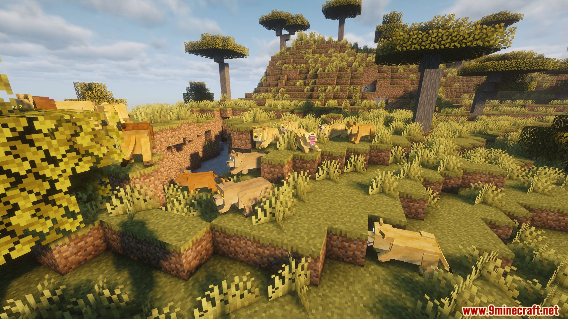 A large pride of lions gathered in the savanna