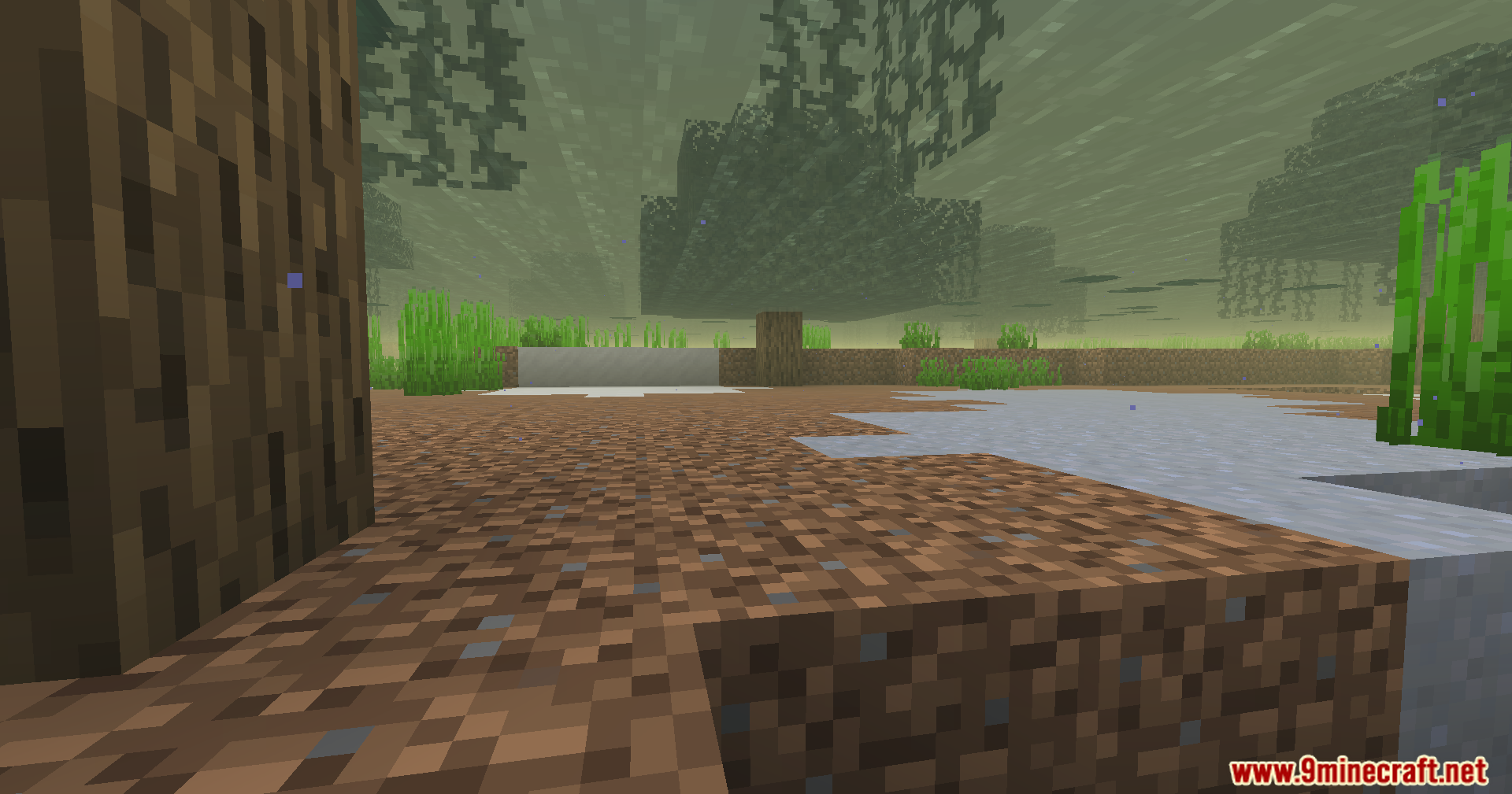 Beyond Oxygen Fix Mod (1.20.1) – Explore Normal Worlds Without Suffocating 6 An underwater view of a murky swamp biome with trees