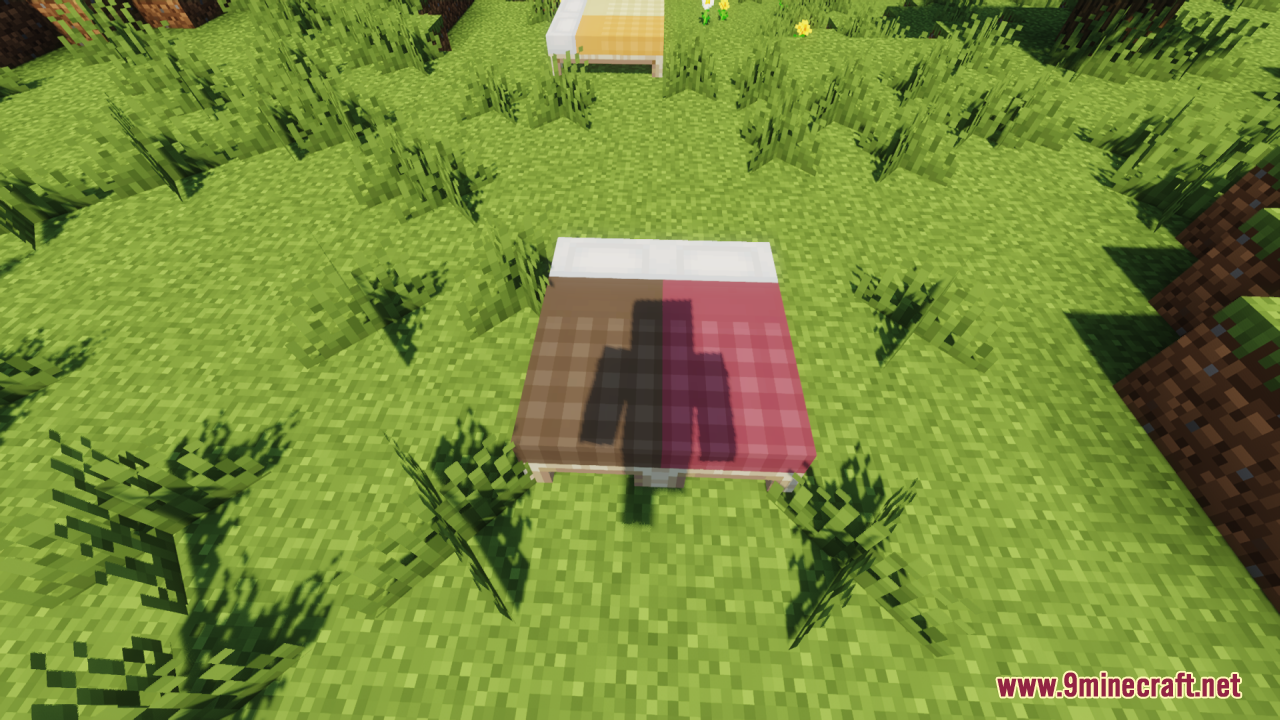 Cozy Nook Beds Resource Pack – Cozy Plaid Bedding For Rustic Cabins 5 Player shadow on brown and red plaid beds in a grassy field