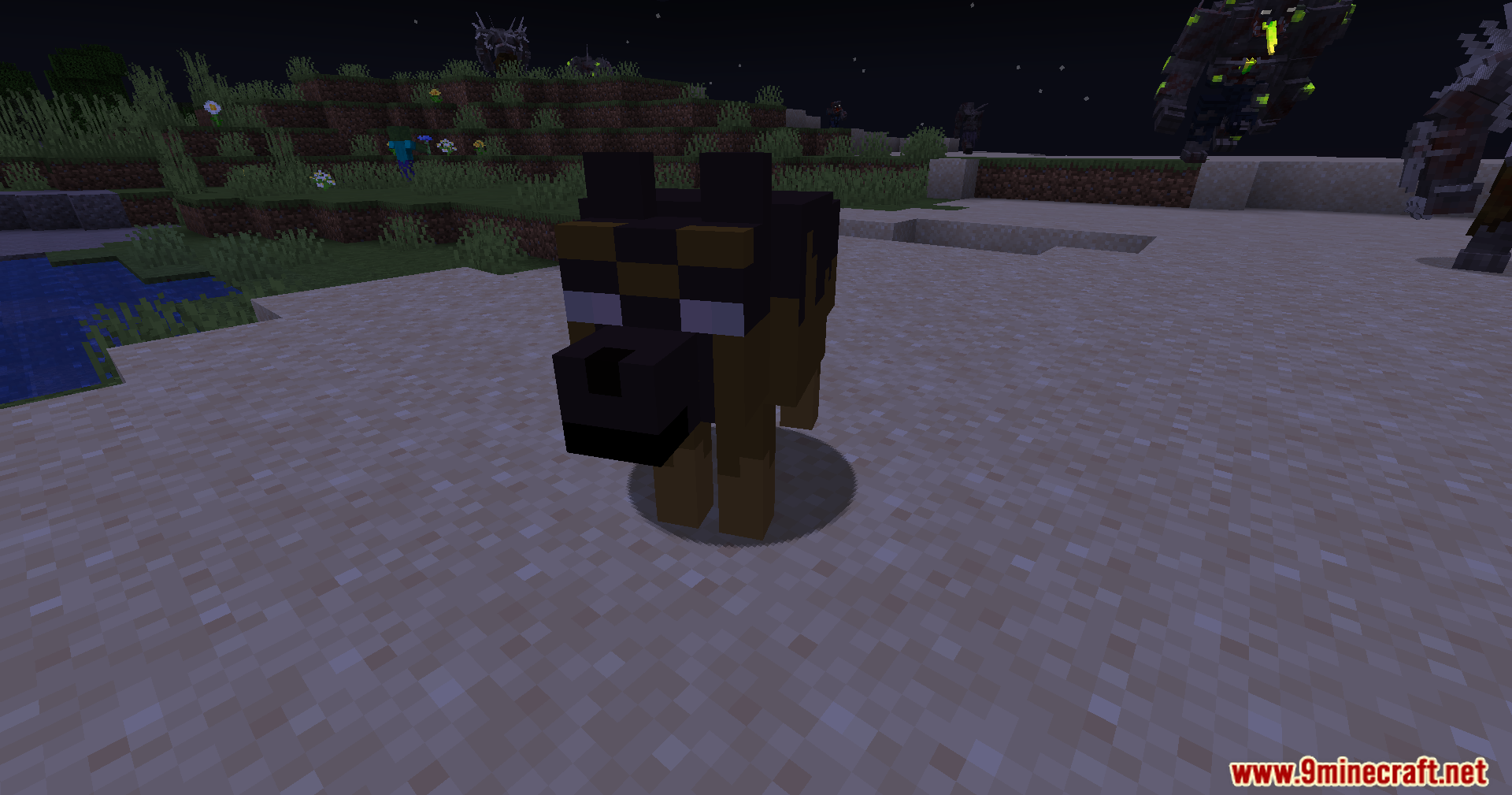 Cursed Creatures A Zombie Variant Mod (1.20.1) – Survive Deadlier Zombie Mutations 10 Custom feral dog mob standing on sand at night