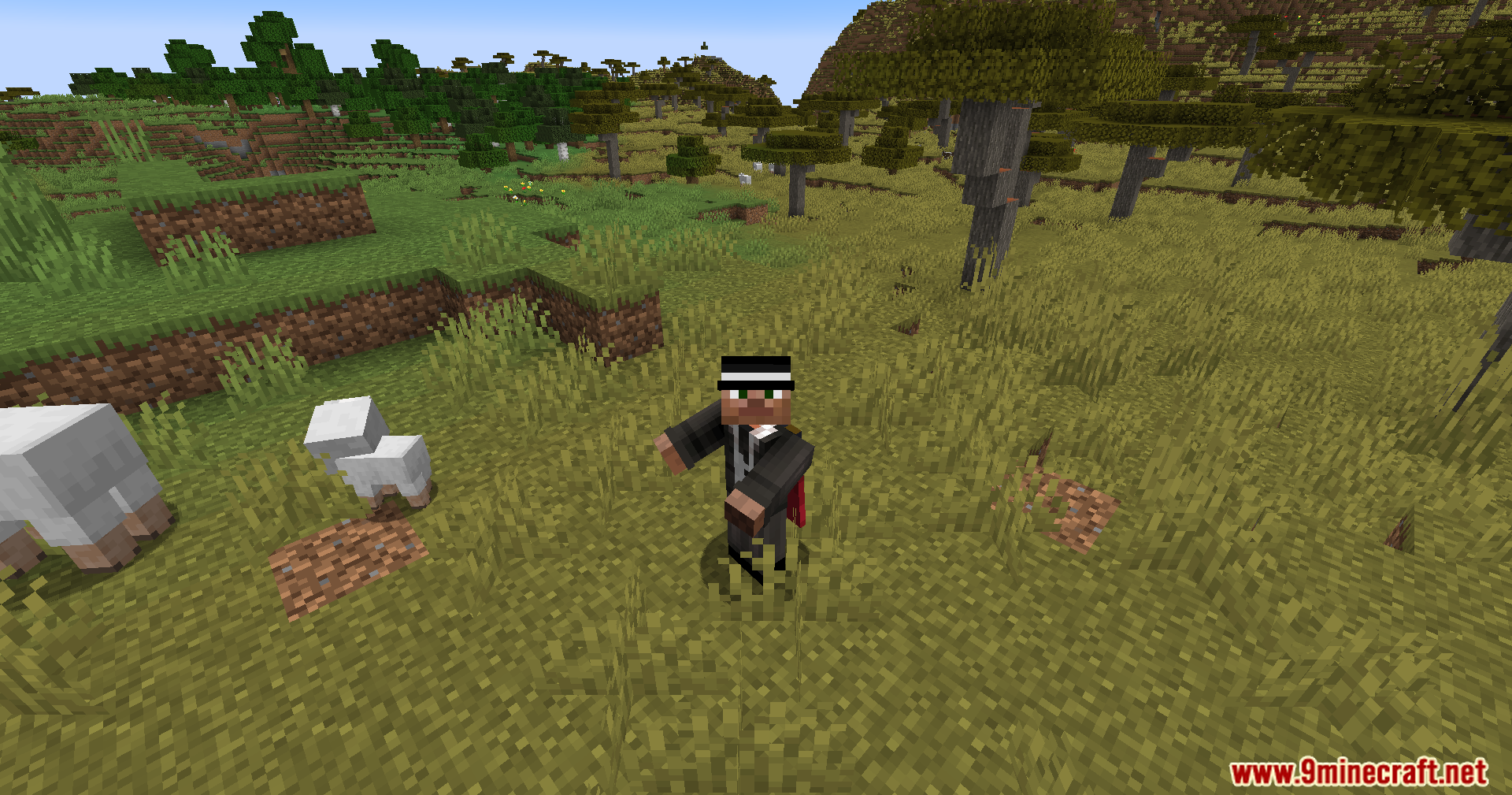 Player character in a suit and hat standing in a grassy field