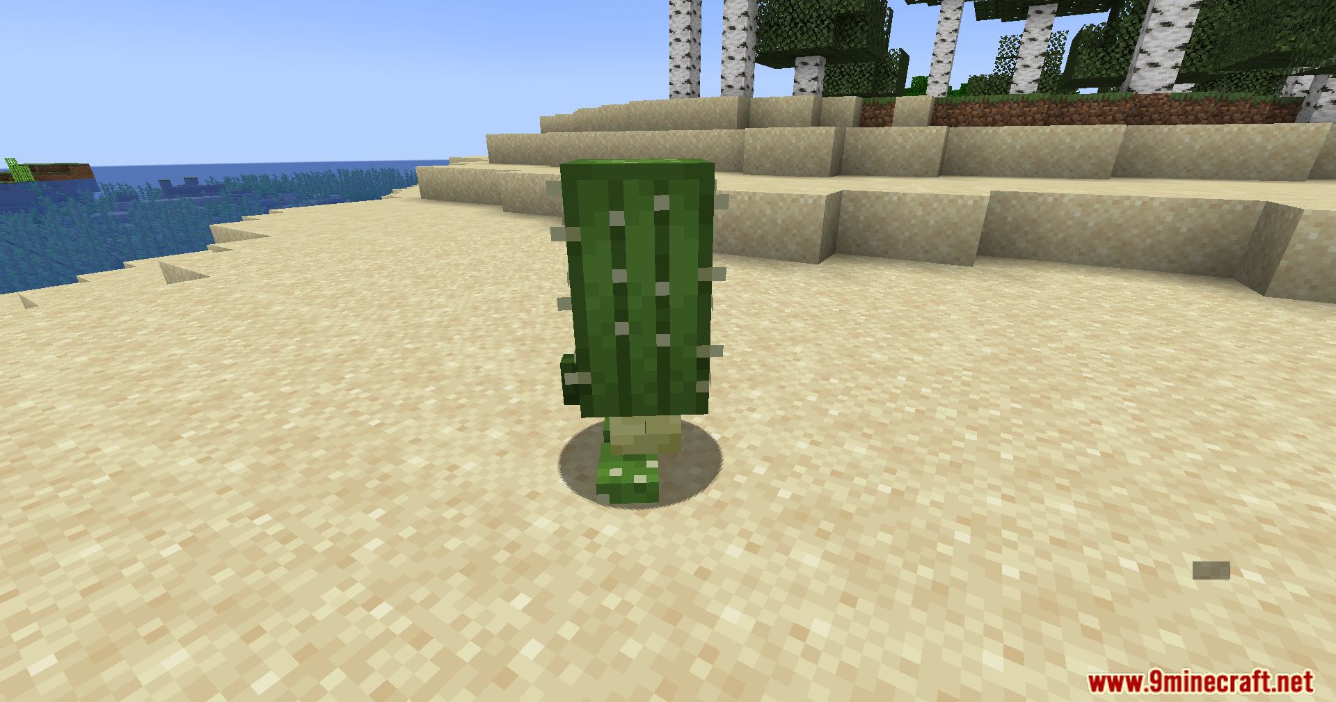 A cactus golem standing on a sandy beach