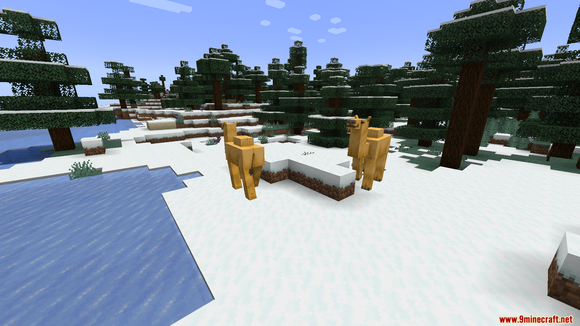 Dynamic Surroundings Resource Pack (26.1.2, 1.20.1) – Texture Pack 5 Dynamic surroundings resource pack screenshots 04
