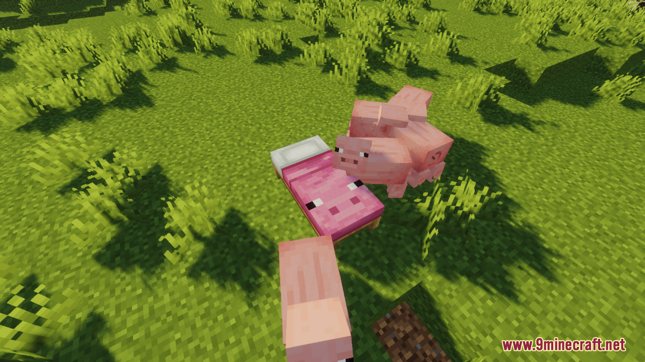 Fancy beds screenshots 5