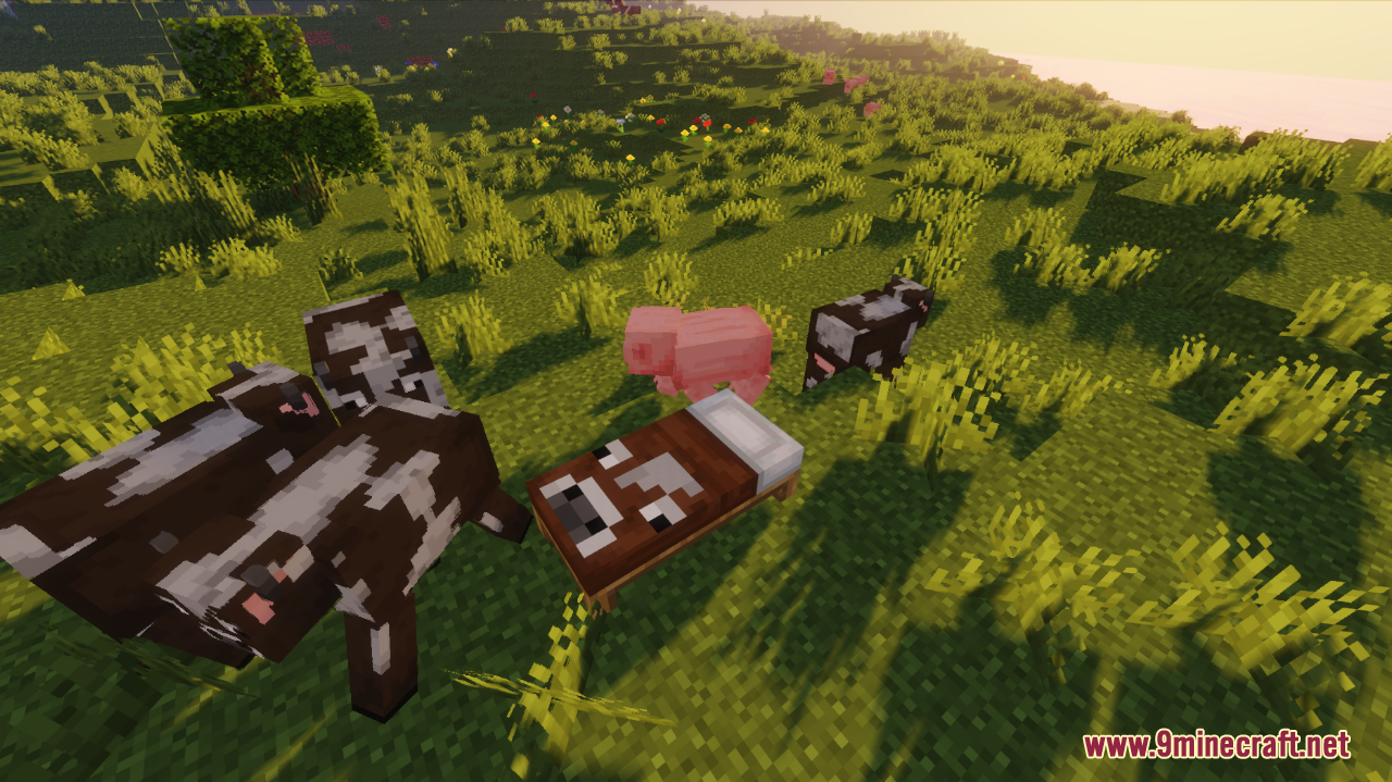 Fancy beds screenshots 6