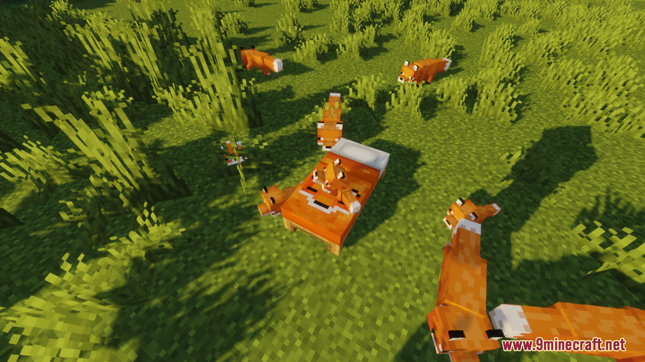 Fancy beds screenshots 9
