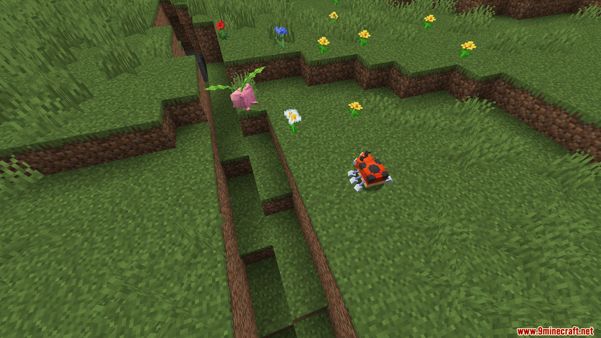 Cobblemon mod adds hoppip and ledyba to the world