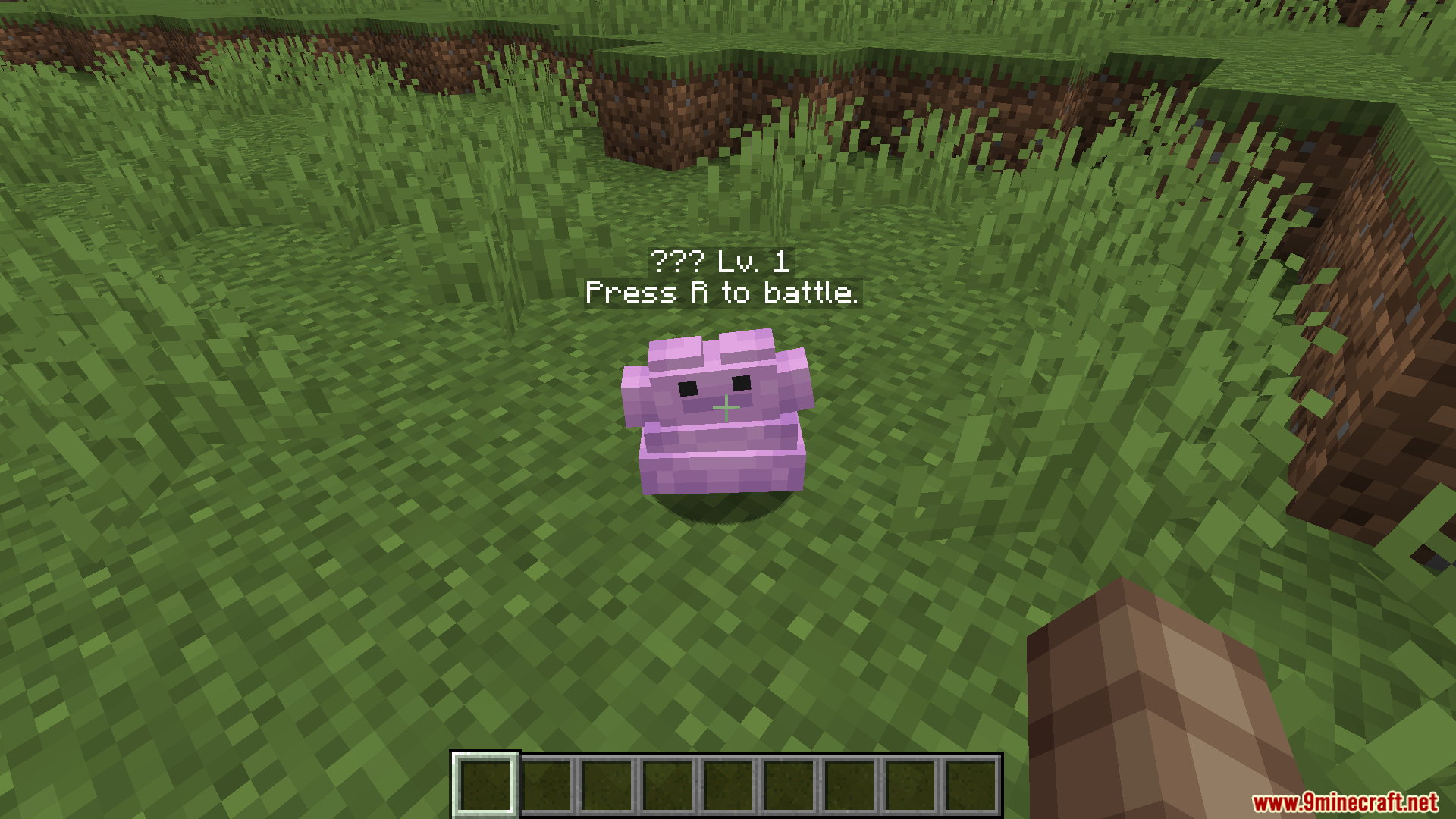 Player encounters a wild ditto with a battle prompt