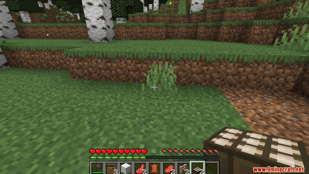 Loot Randomizer Data Pack (1.21.11, 1.20.1) – Expect The Unexpected In Every Drop 7 Loot randomizer data pack screenshot 6 1