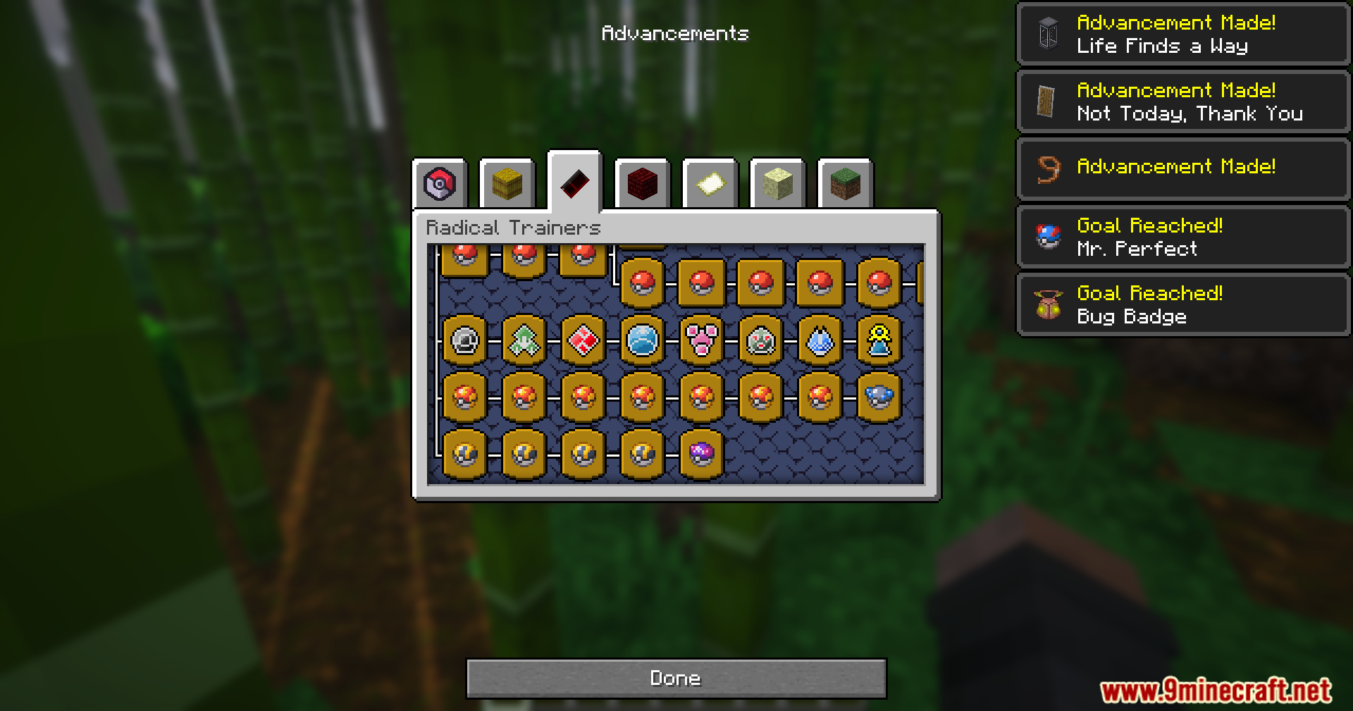 Mrct Localization Data Pack (1.21.1, 1.21) – Read Trainer Goals And Earn Custom Badges 5 A player views the advancements menu showing the radical trainers tab