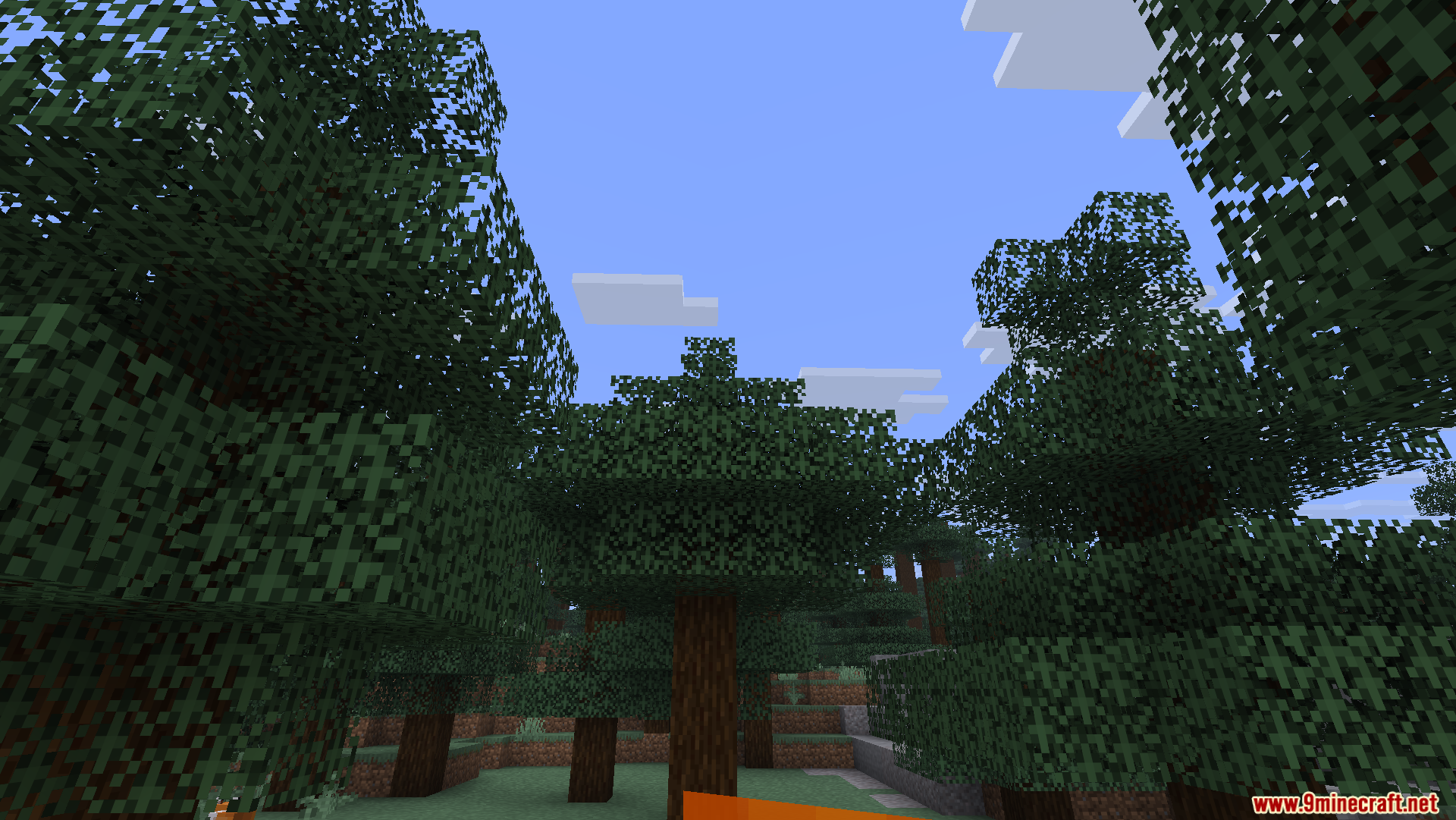 Oculies Low Fire Resource Pack (26.1.2, 1.20.1) – No More Fire All Over Your Screen 7 A scenic view of a lush green minecraft forest