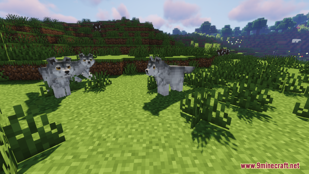 A pack of three wolves gathered on a grassy hill