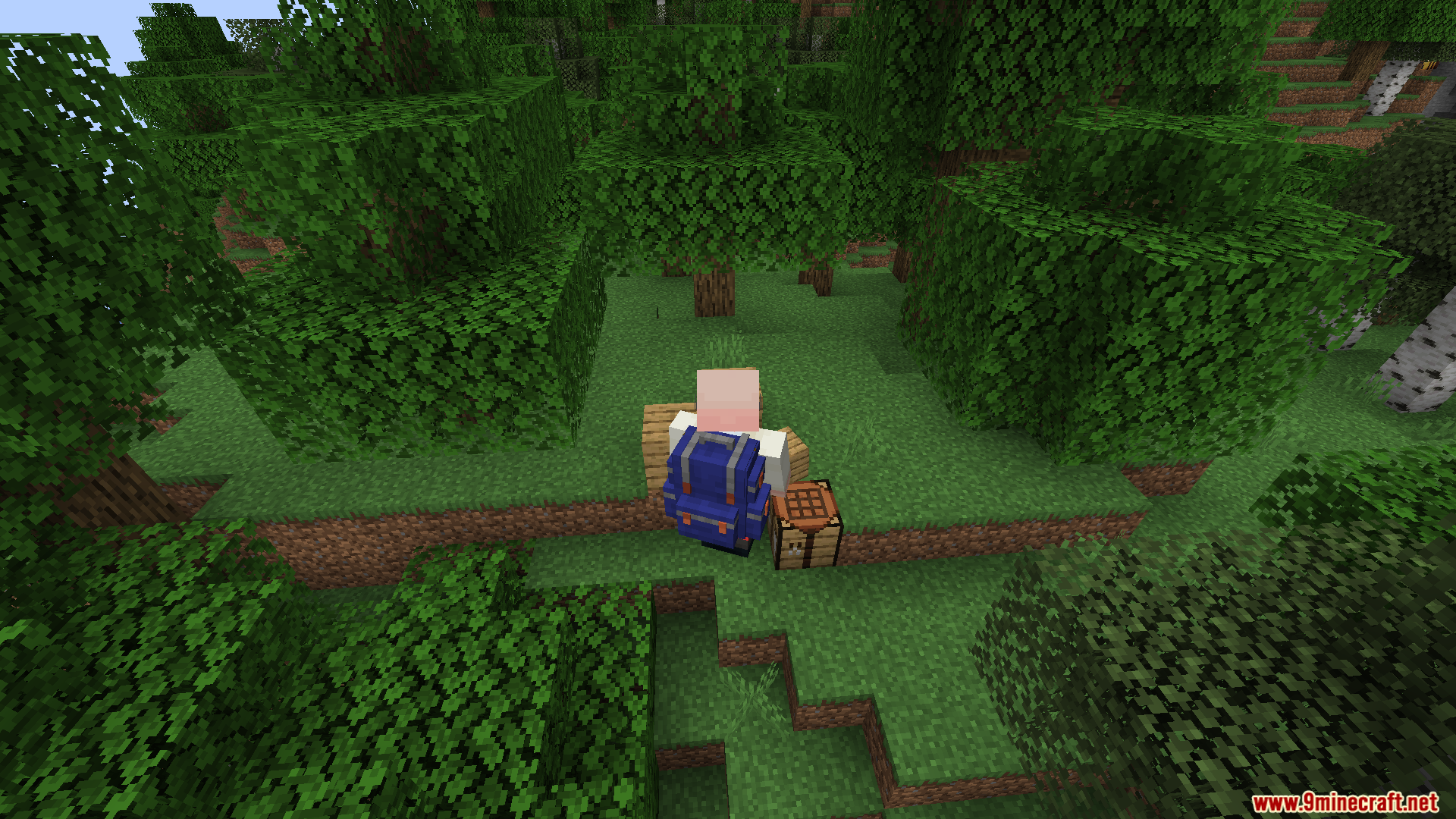 Sophisticated JEI Index Mod (1.21.1, 1.20.1) – Craft Straight From Your ...