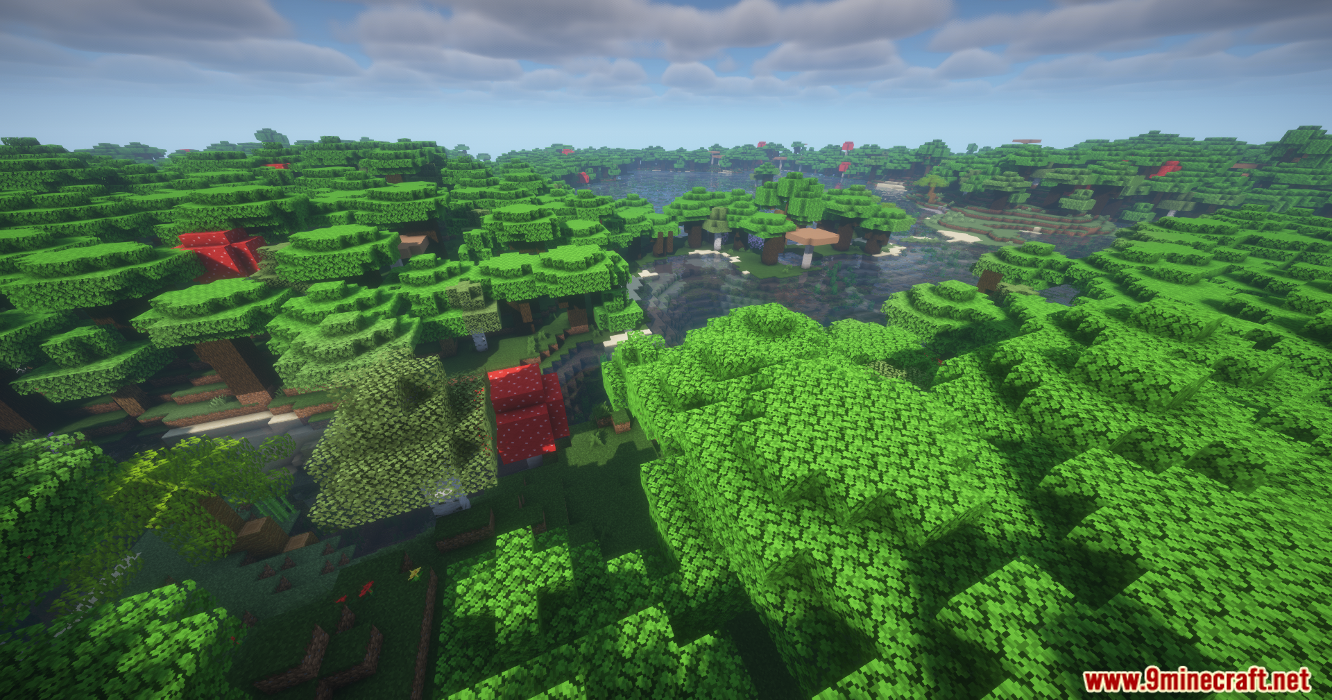 A wide view of a lush forest biome with large trees and mushrooms