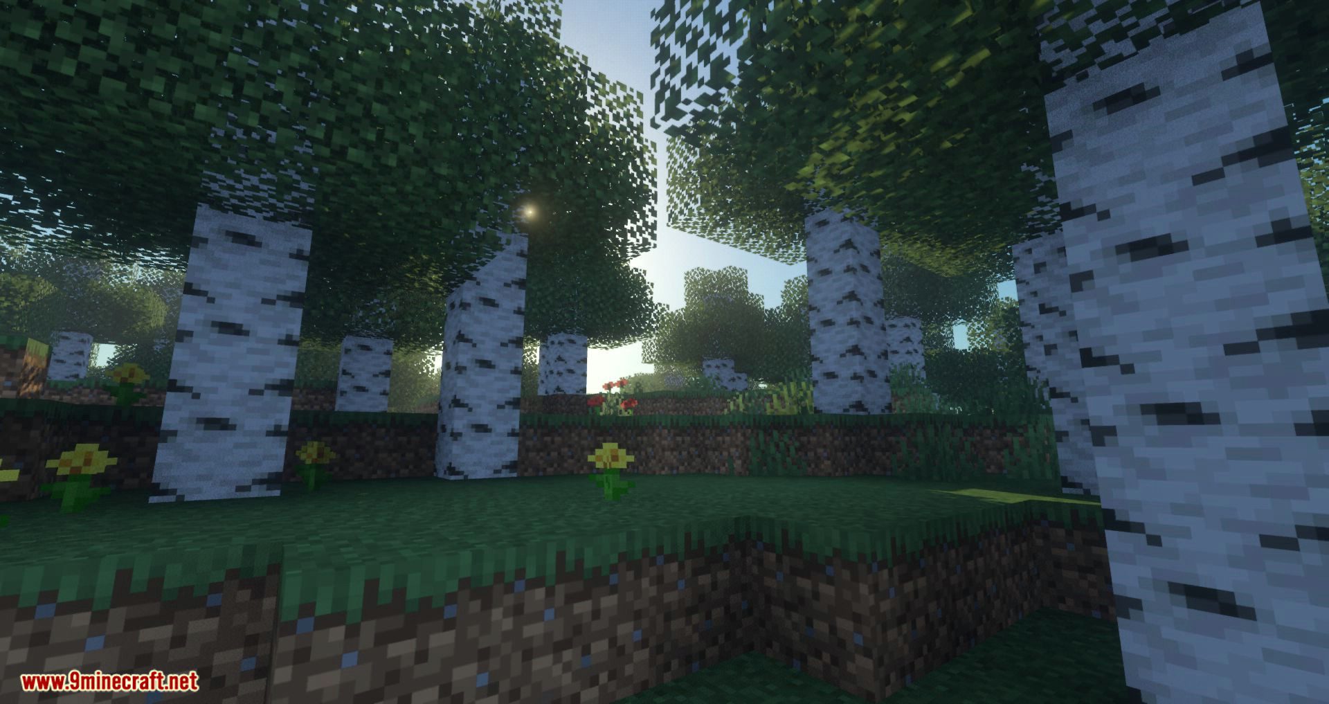 Voyager shader for minecraft 03