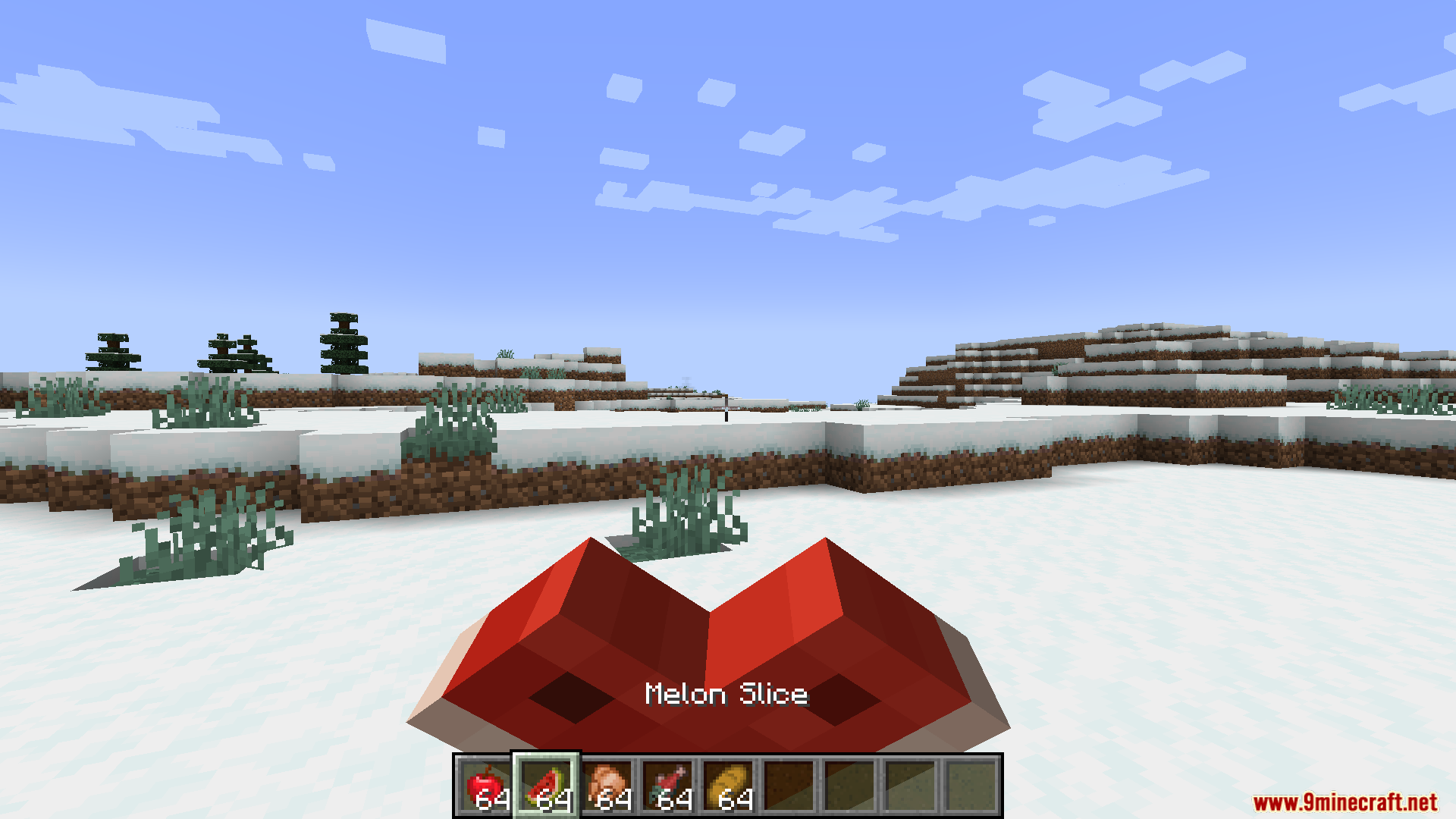 Weskersons 3D Items Resource Pack (26.1.2, 1.21.11) – Texture Pack 7 Weskersons 3d items resource pack screenshots 06