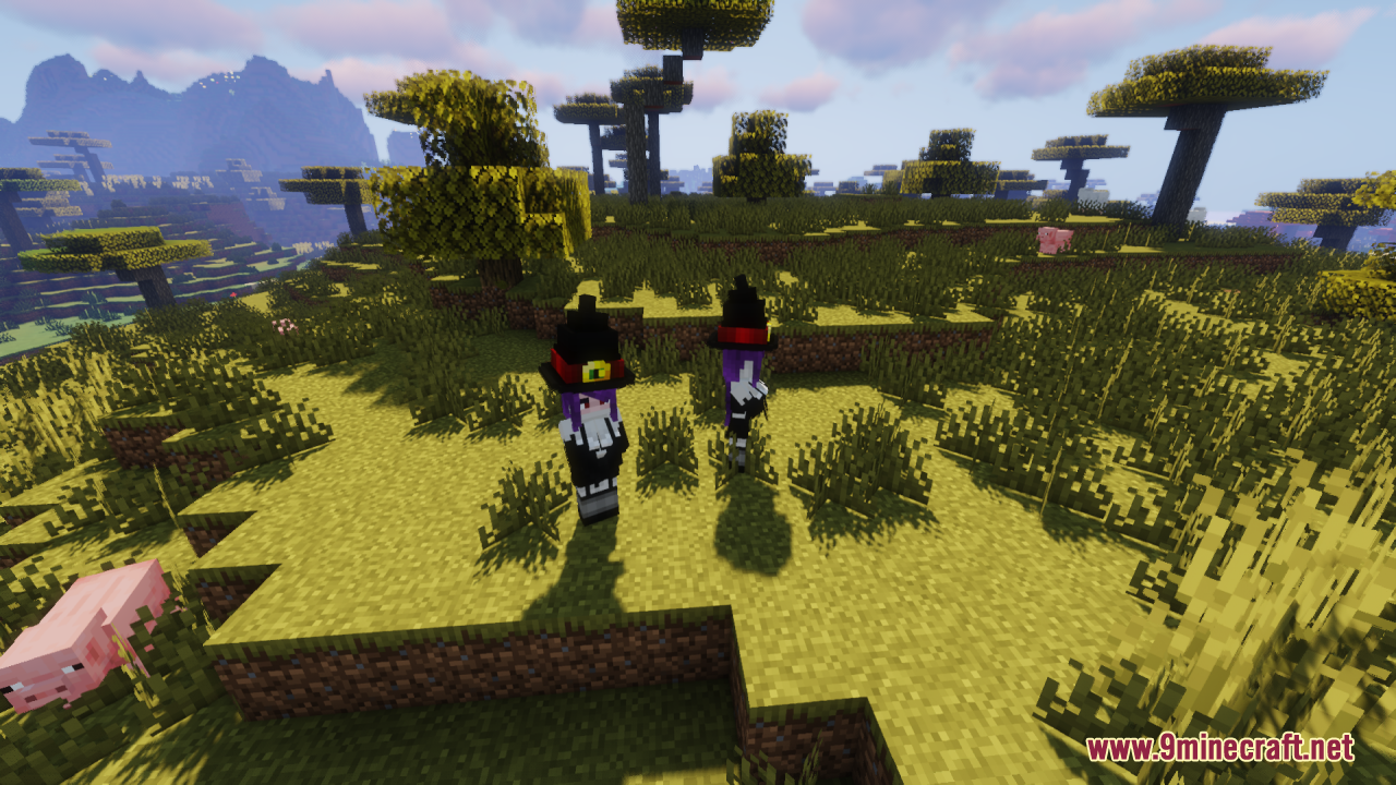 Two witch girl mobs standing together in a field