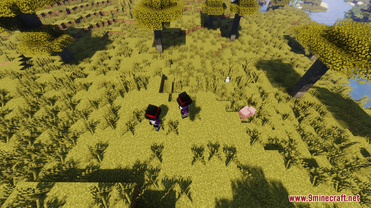 Two witch girl characters and a pig in a field