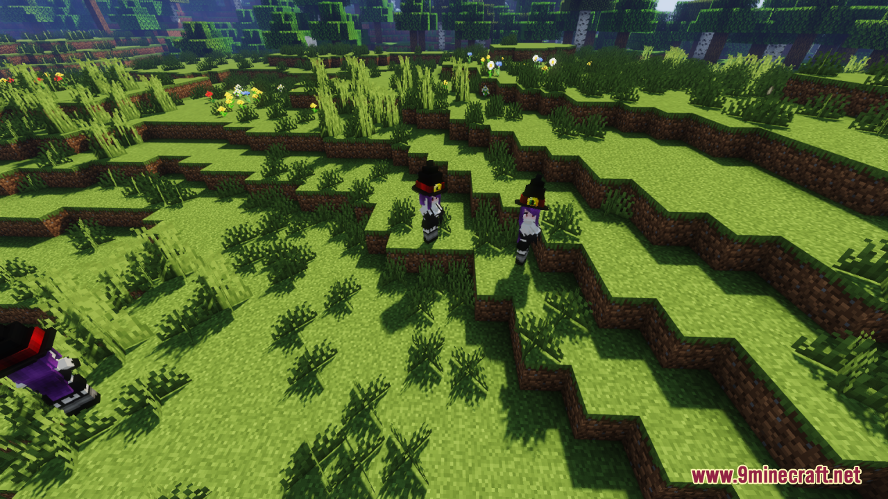 Multiple witch girls wandering a terraced green field