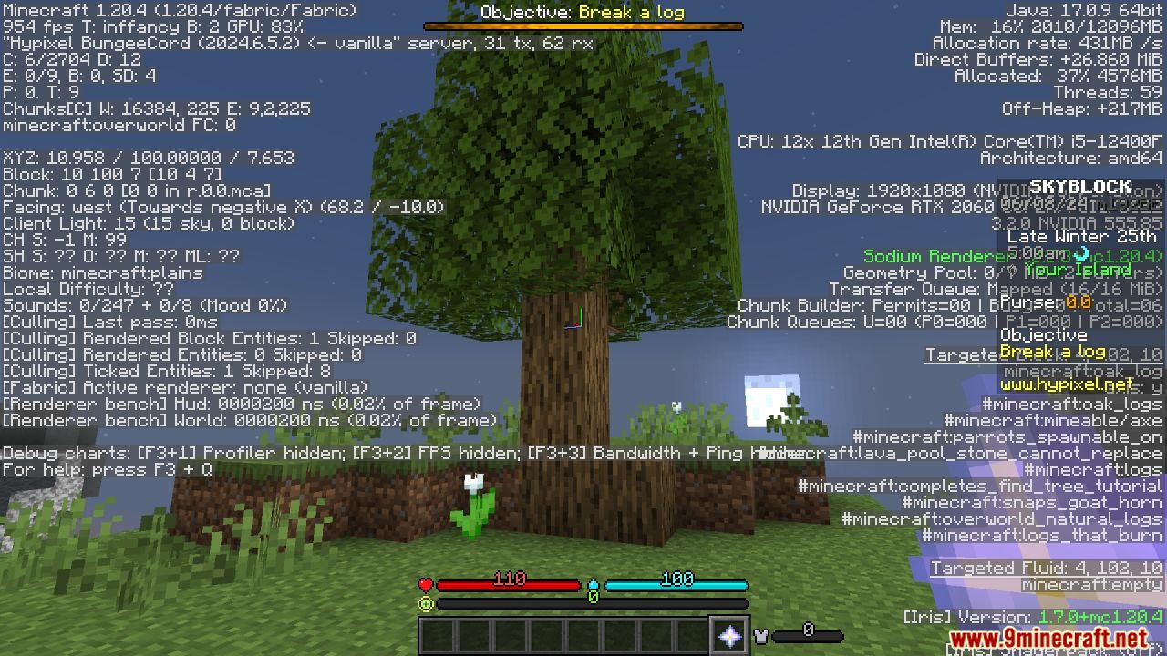Skyblocker Modpack (1.21.10, 1.20.1) – Enhances Hypixel’s Skyblock Gamemode