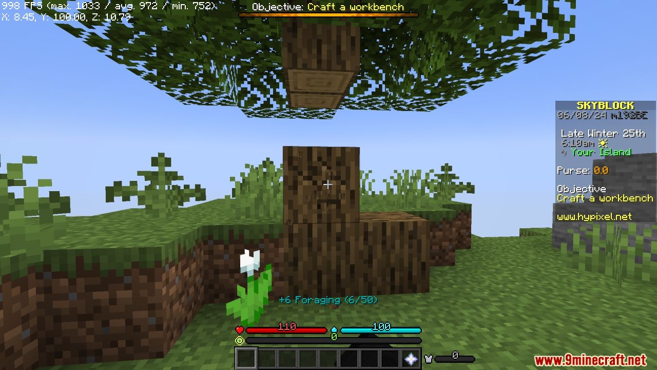 Skyblocker Modpack (1.21.10, 1.20.1) – Enhances Hypixel’s Skyblock Gamemode