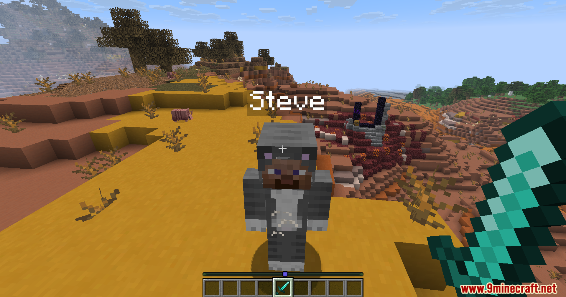 A player named steve wearing a cat skin stands in a badlands biome