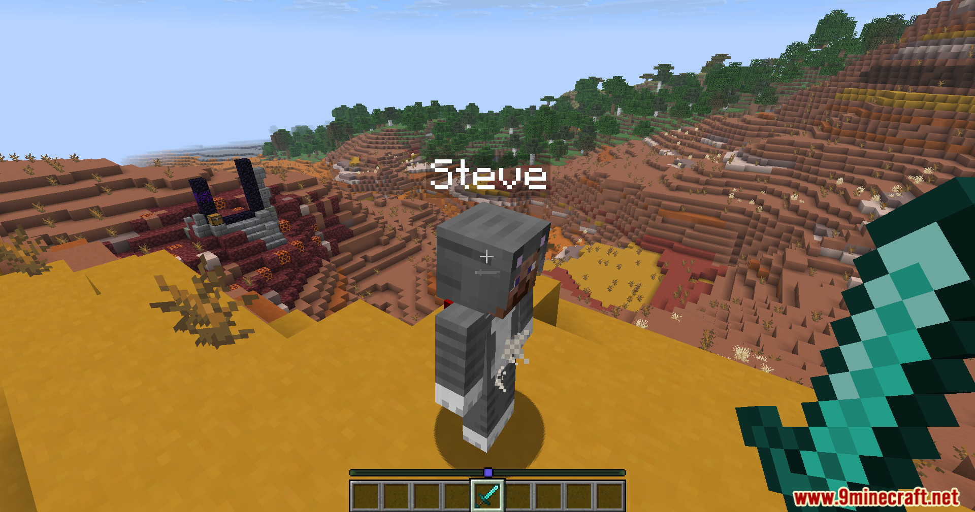 A fake player named steve wearing a cat skin in the badlands