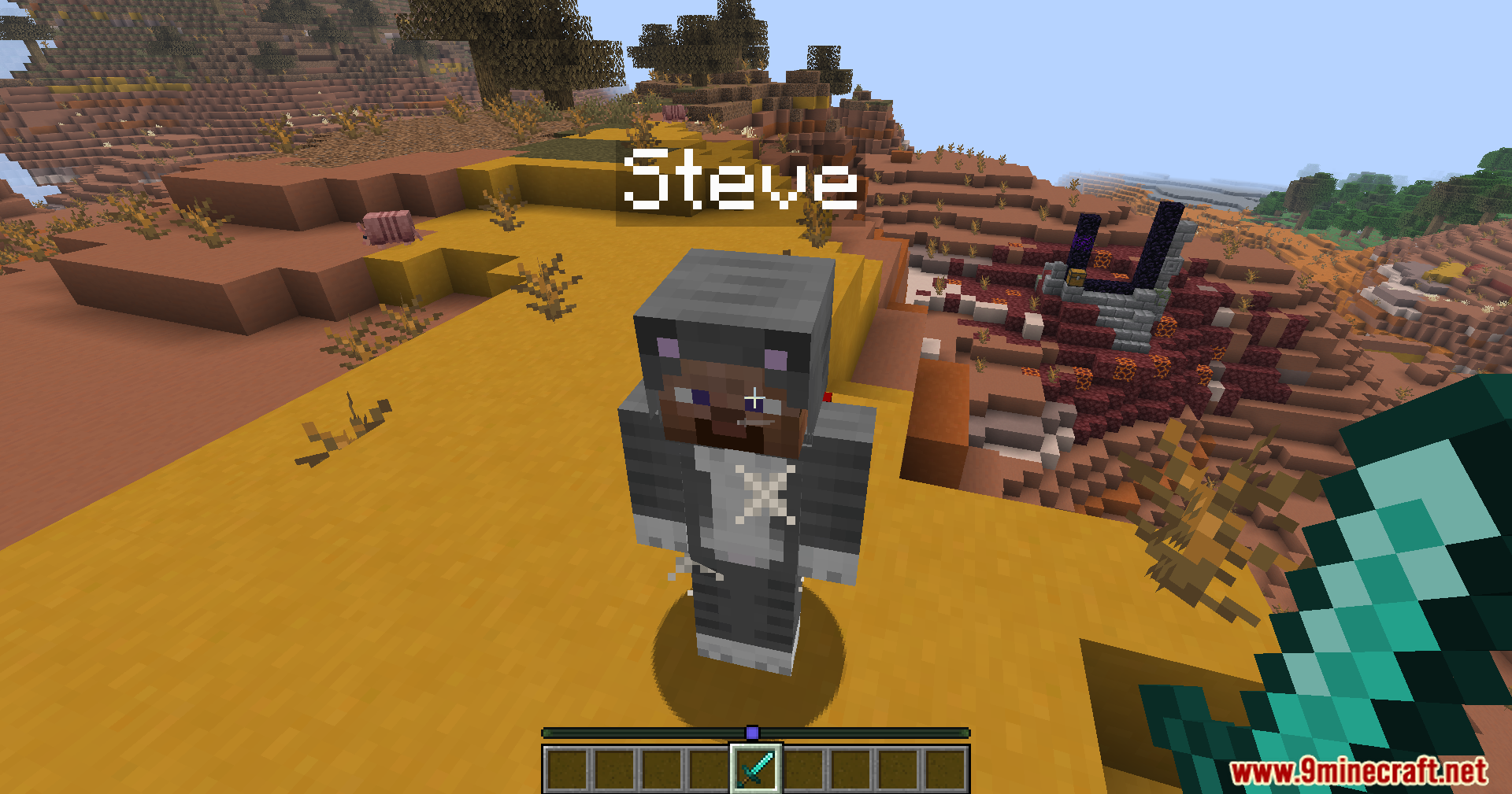A player named steve wearing a cat skin stands in a badlands biome