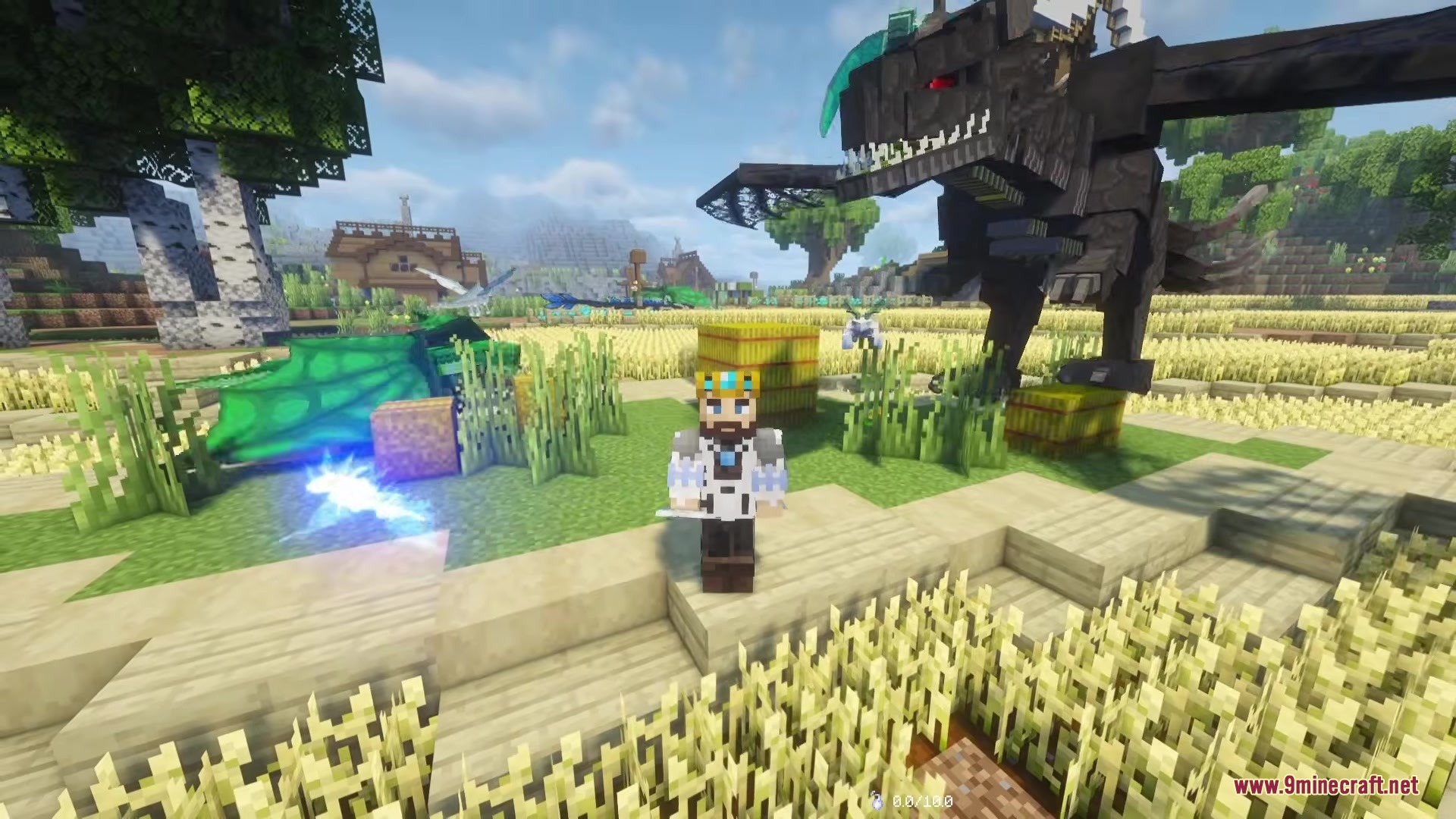 Age Of Dragons Mod (1.21.1) – Slay Massive Dragons In A Dark Fantasy Rpg 5 A crowned player poses with a massive black dragon in a wheat field