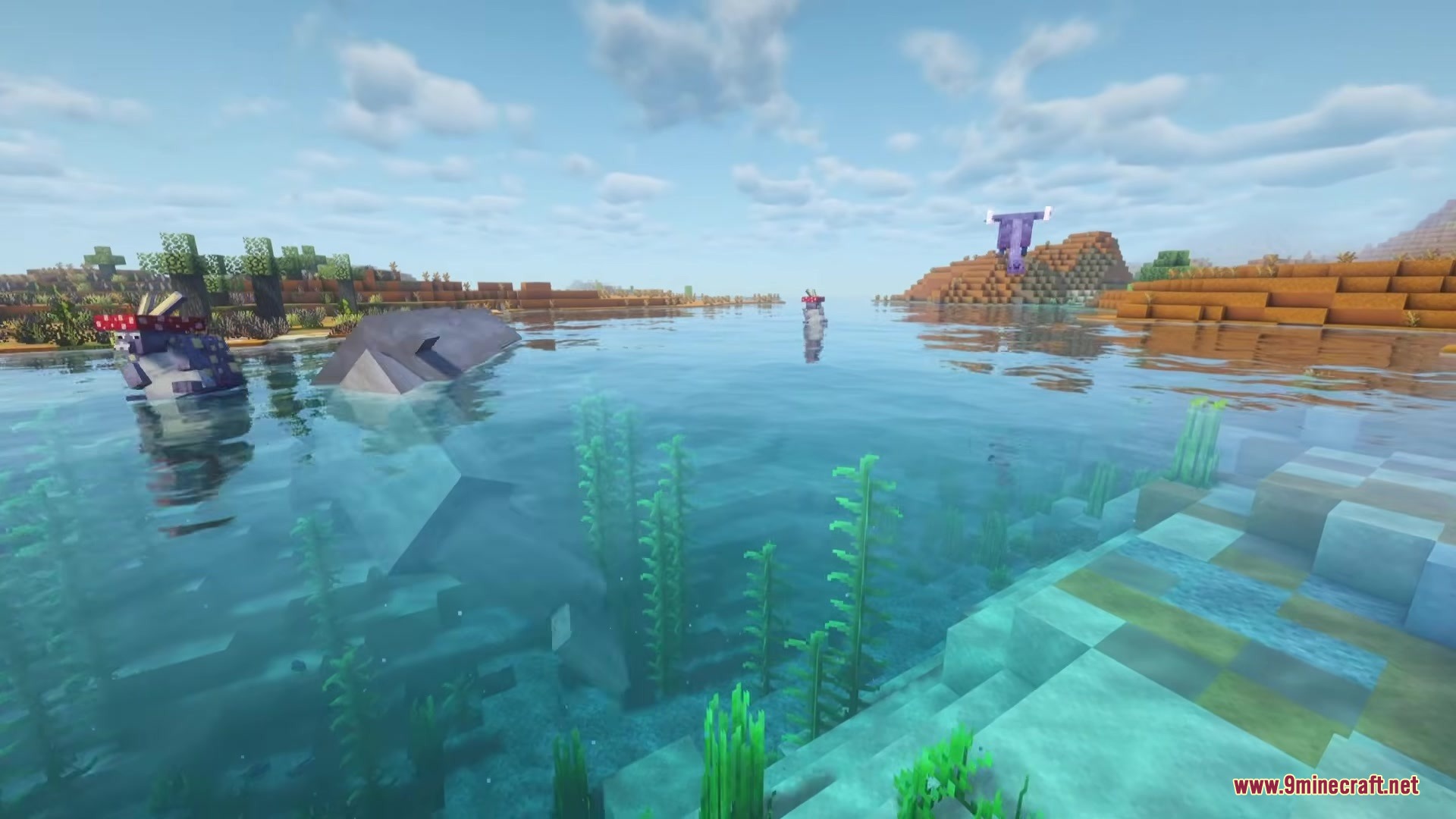 Alex’s Mobs Fabric Mod (26.2, 1.20.1) – Populate Every Biome With Exotic 6 A large whale swims in clear water near a blobfish wearing a hat