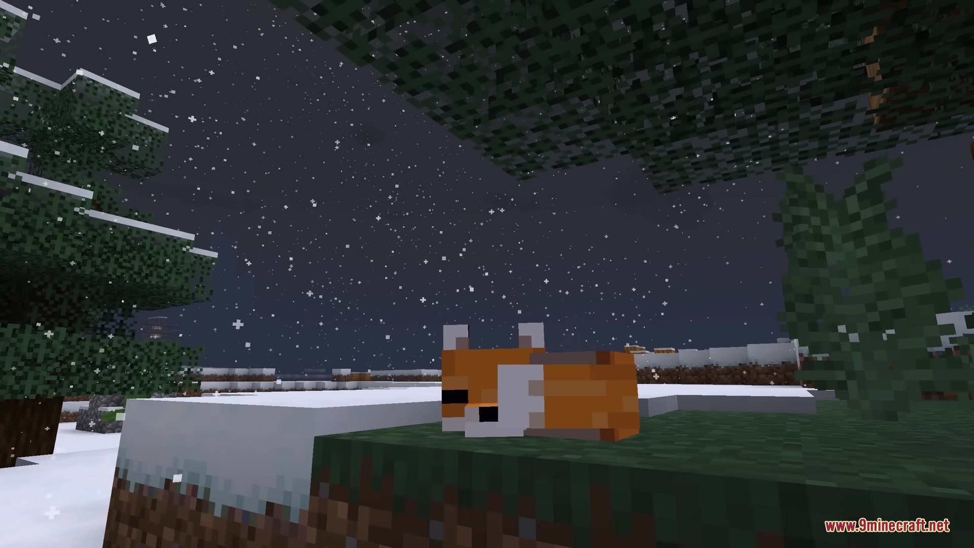 Als Ghasts Revamped X Fresh Animations Resource Pack (1.21.11) 3 A sleeping fox on a grass block during a snowy night in minecraft