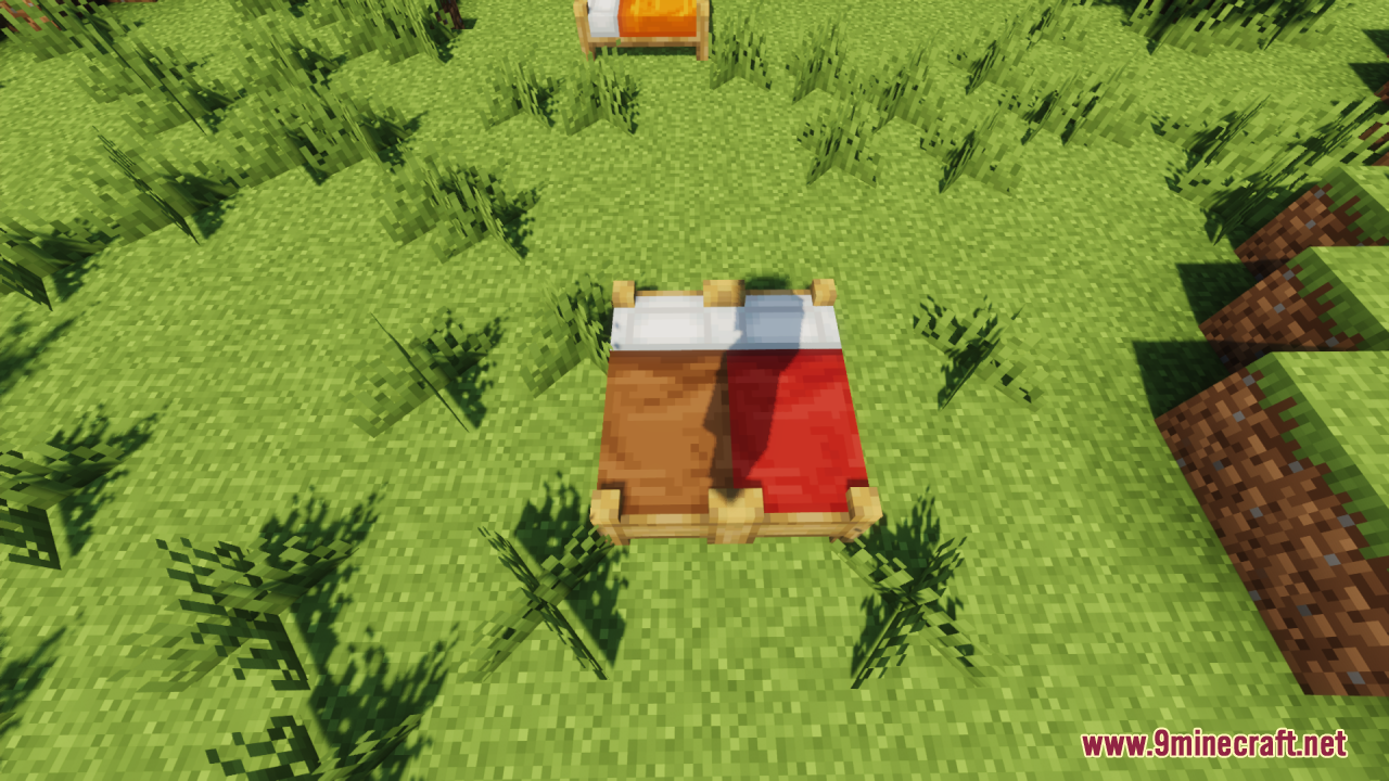 Cozy brown and red beds with detailed wooden frames on grass