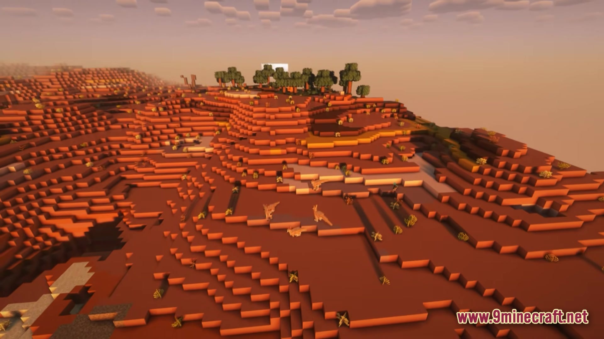 A group of kangaroos roaming across a vast badlands biome during a sunset with shaders enabled