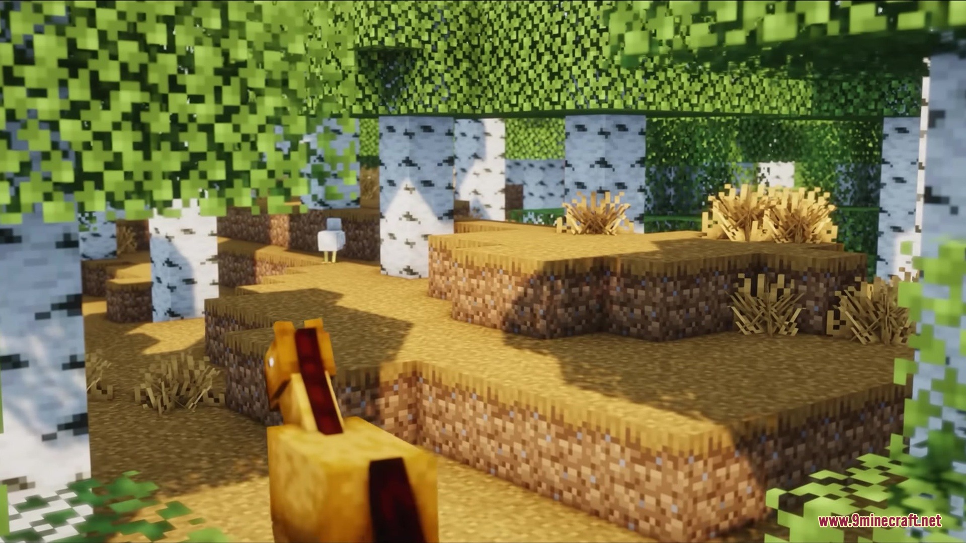 Blak Suit’s Bushy Grass Resource Pack (1.21.11, 1.20.1) 4 A horse and chicken in a birch forest with thick bushy grass