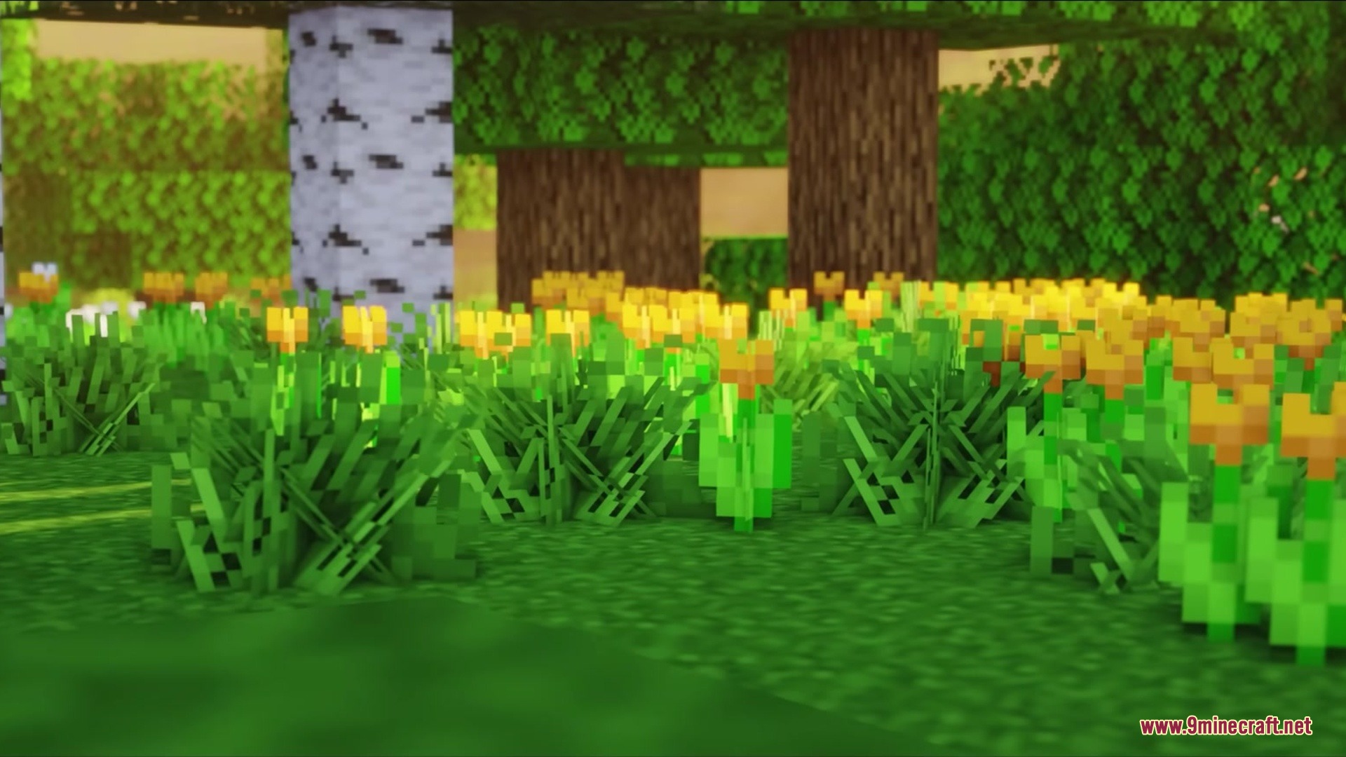 Blak Suit’s Bushy Grass Resource Pack (1.21.11, 1.20.1) 5 Close up view of thick green grass and yellow flowers in forest