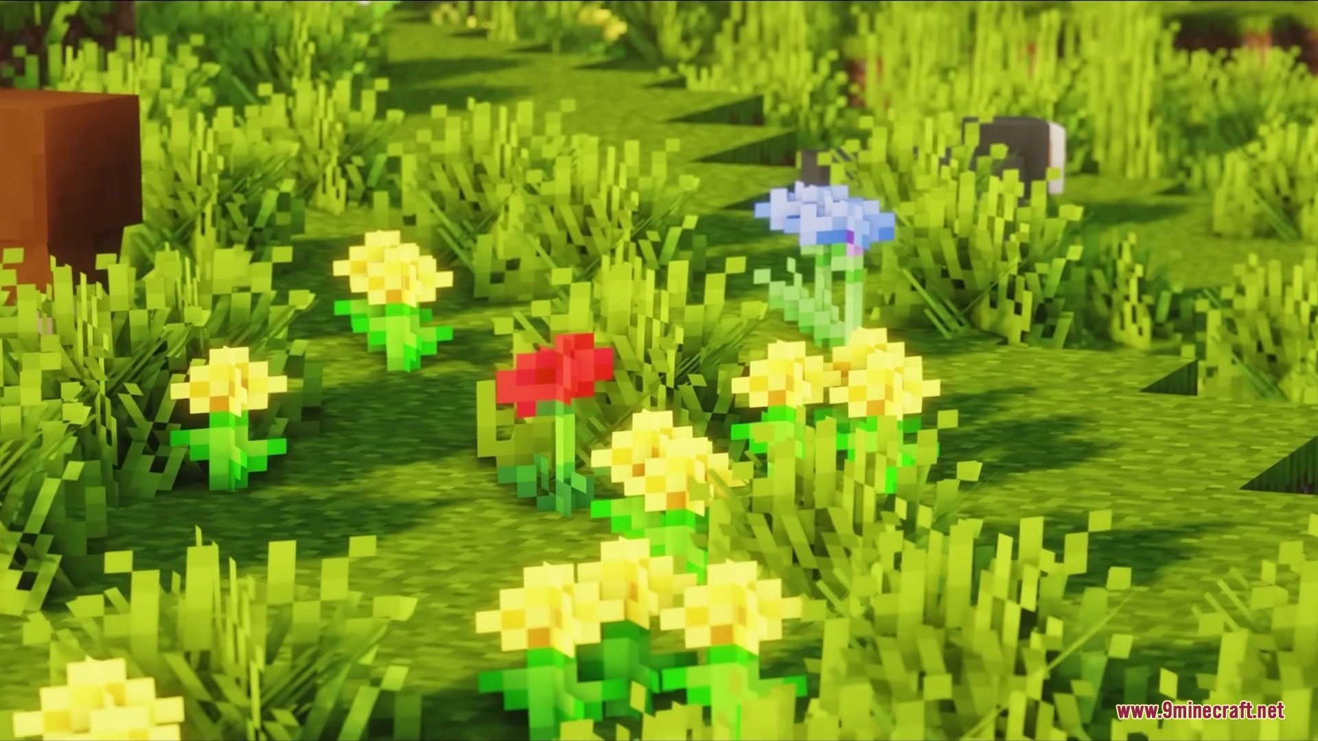 Blak Suit’s Bushy Grass Resource Pack (1.21.11, 1.20.1) 7 Vibrant flowers blooming among dense green grass in a sunny field