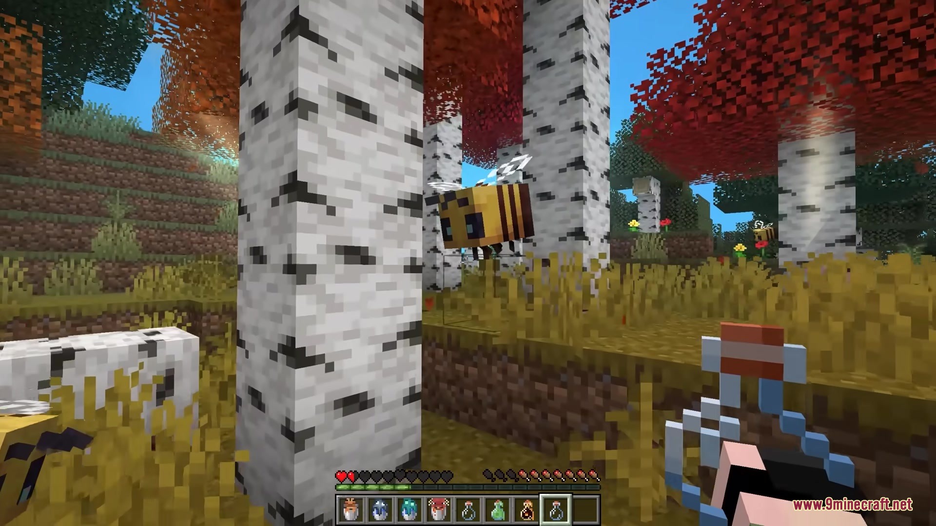 Bucketem Remodeled Resource Pack (1.21.11, 1.21.1) – Lifelike 3D Mobs 5 Player holding a captured bee in a glass bottle while exploring birch forest
