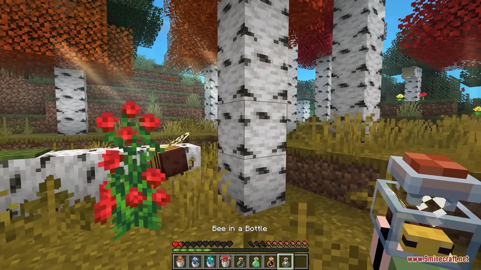 Bucketem Remodeled Resource Pack (1.21.11, 1.21.1) – Lifelike 3D Mobs 6 Player holding a 3d bee in a bottle in a birch forest