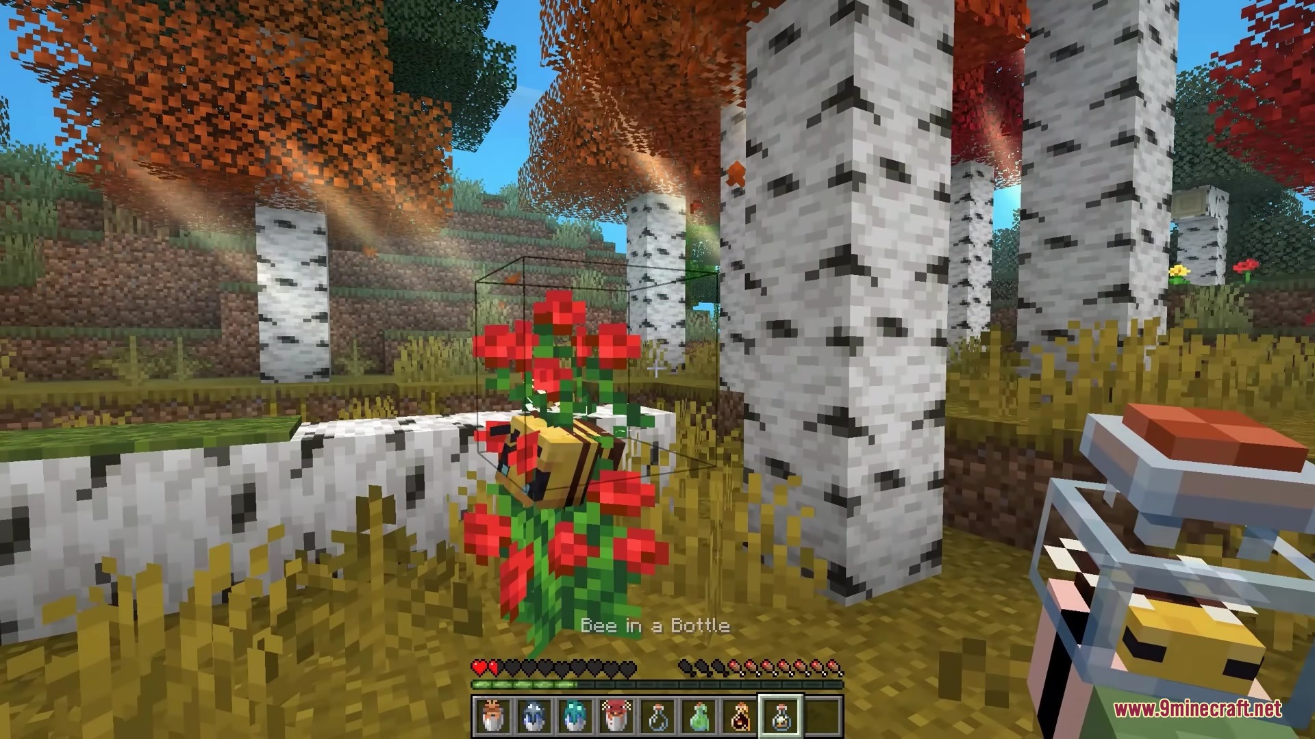 Bucketem Remodeled Resource Pack (1.21.11, 1.21.1) – Lifelike 3D Mobs 7 Player capturing a bee near red flowers with a 3d bottle item