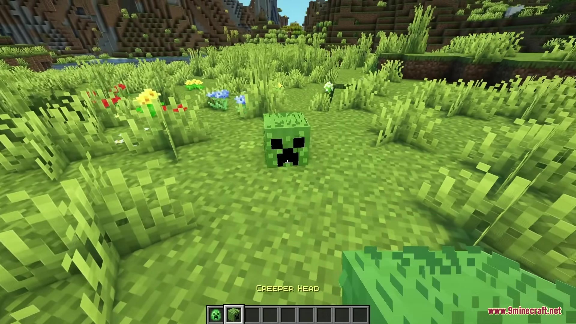 A movie style creeper head block sits on the grass near colorful flowers