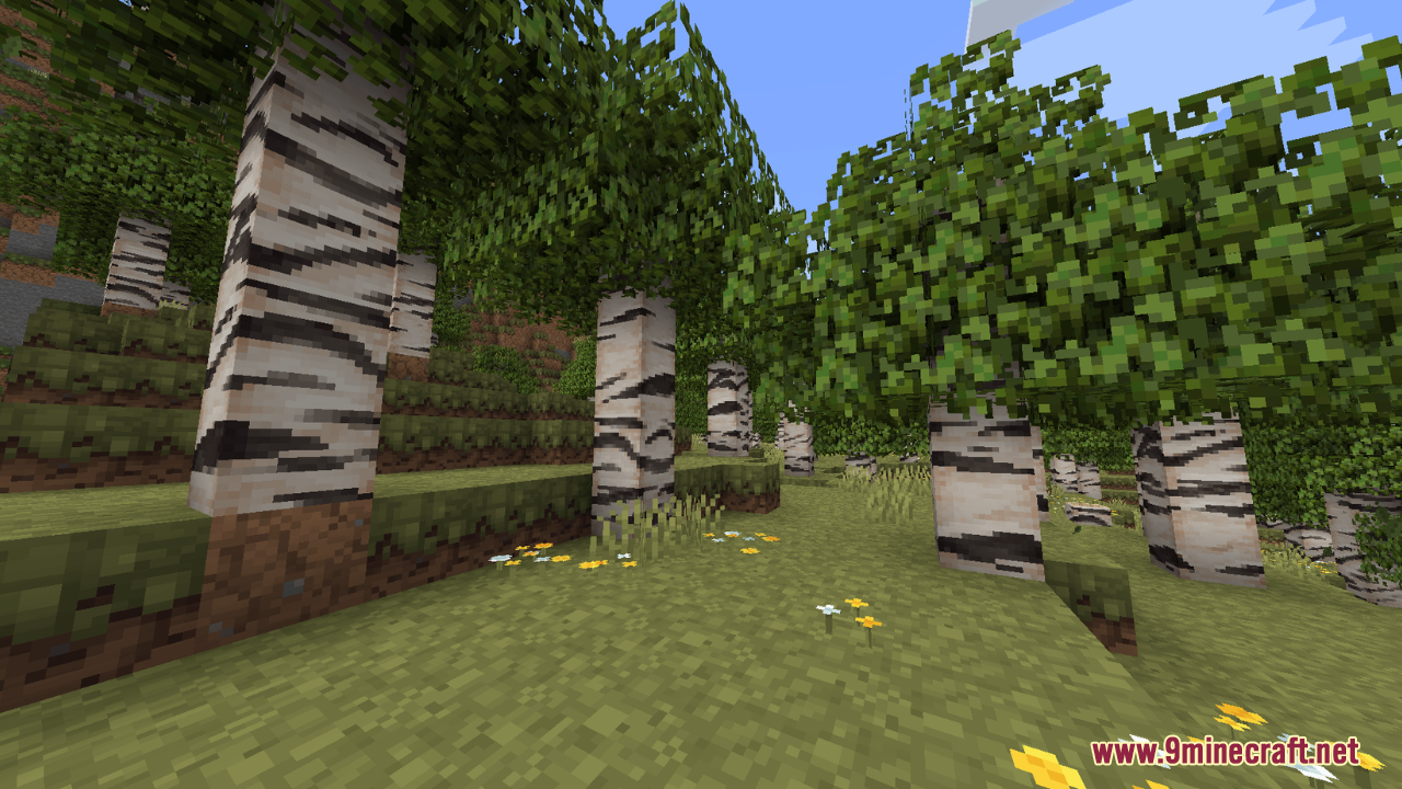 Embers Resource Pack (1.21.5) – A Polished Vanilla World With Classic Charm 4 Birch trees with unique bark textures standing in a grassy forest clearing