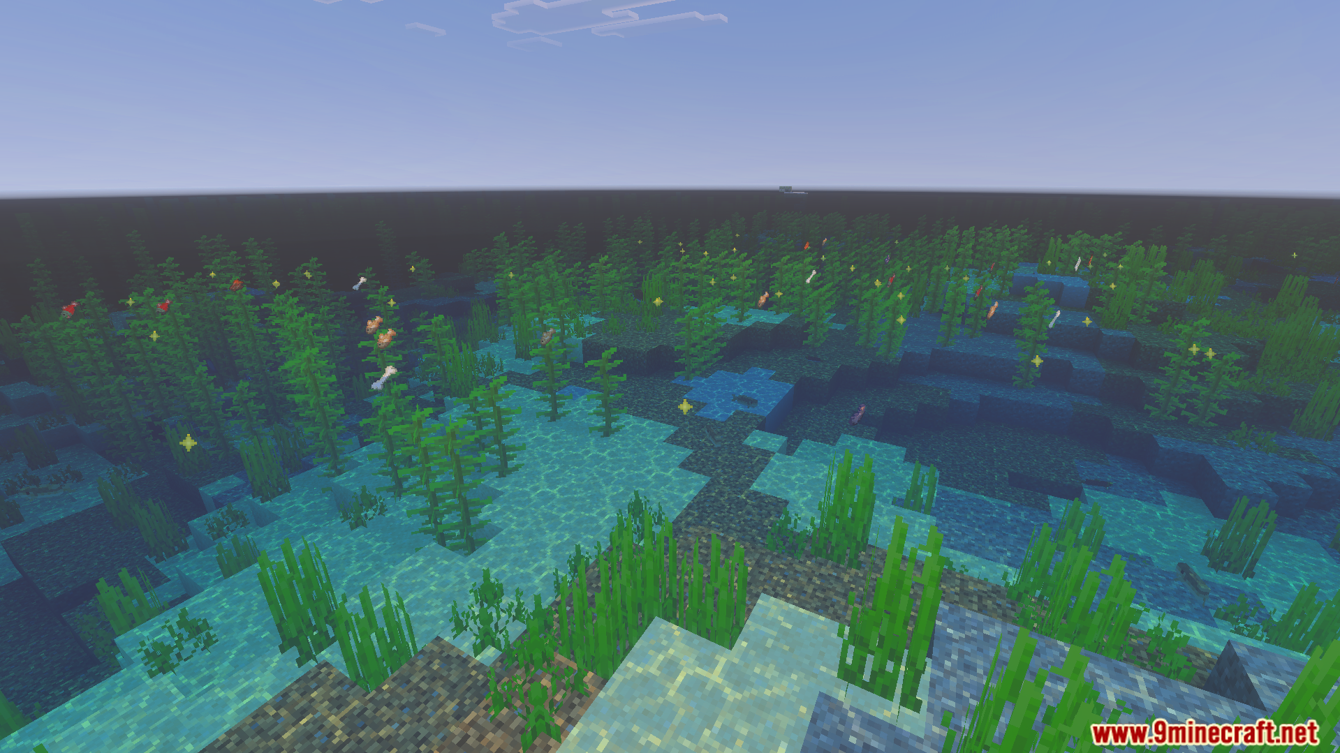 Enhanced 16X Texture Pack (26.X) – Boost Fps With Shorter Swords And A Dark Ui 4 Clear underwater view showing kelp and seagrass with removed heavy background features