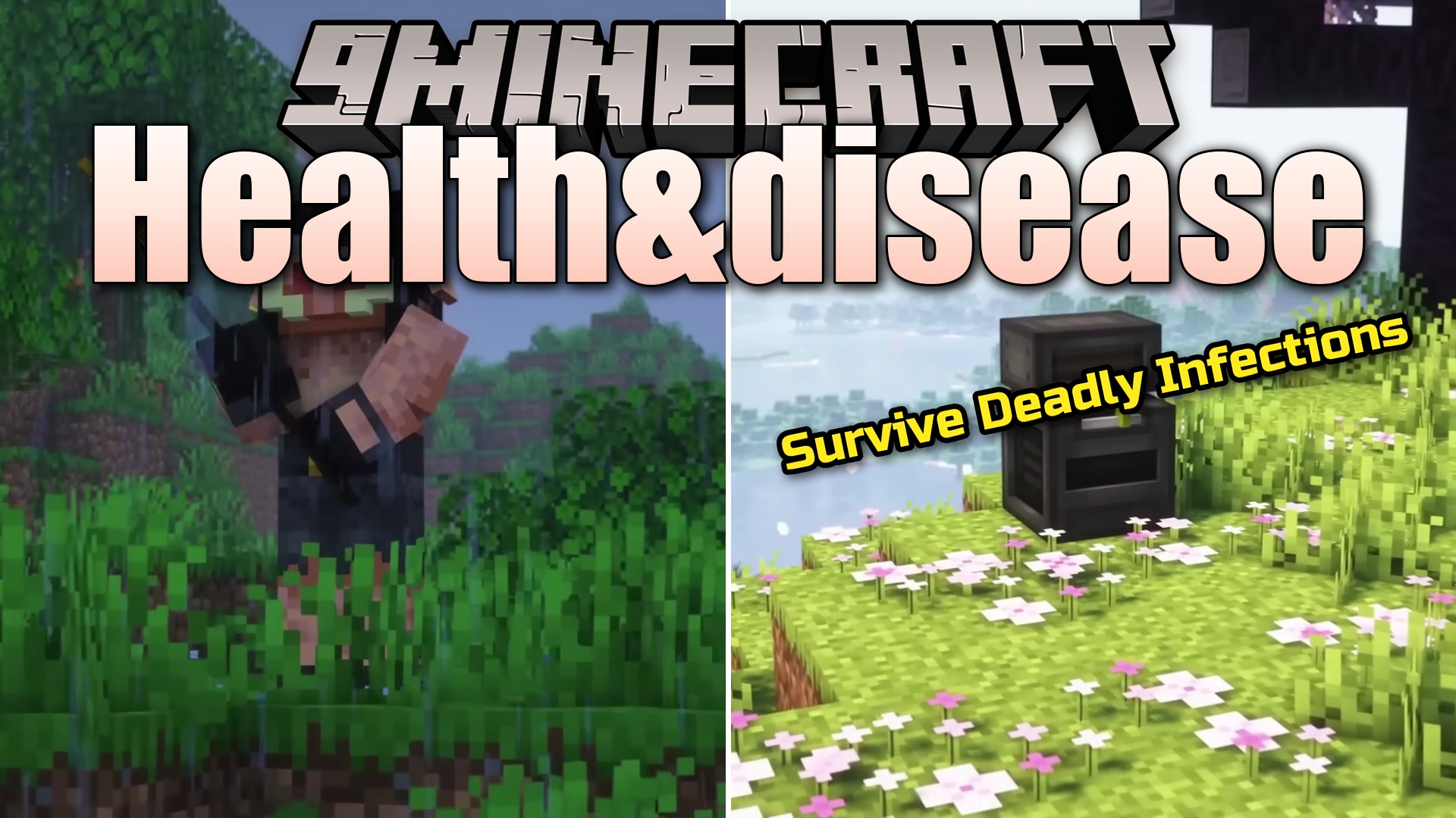 Health&disease Mod (1.20.1) – Manage Your Diet and Fight Off Deadly Diseases