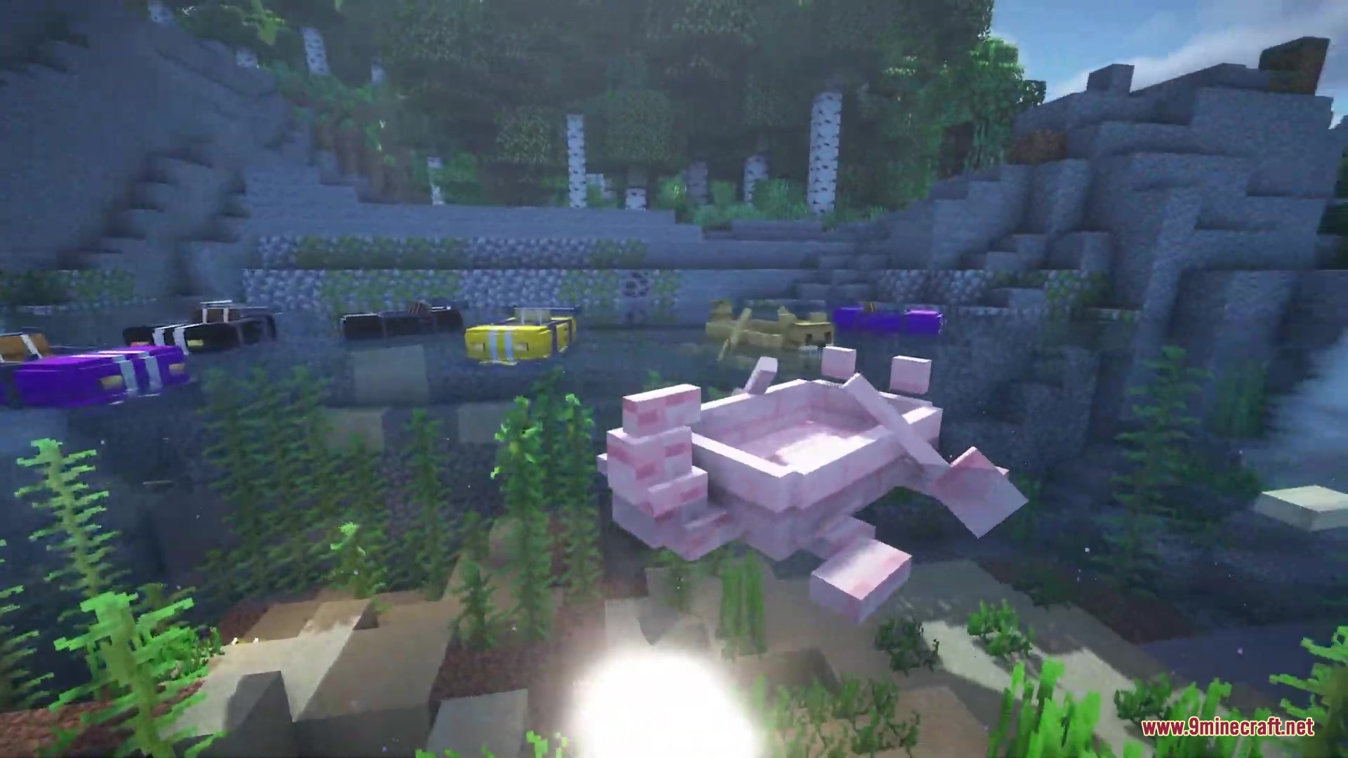 A pink otter boat swimming in the water surrounded by several colorful boats