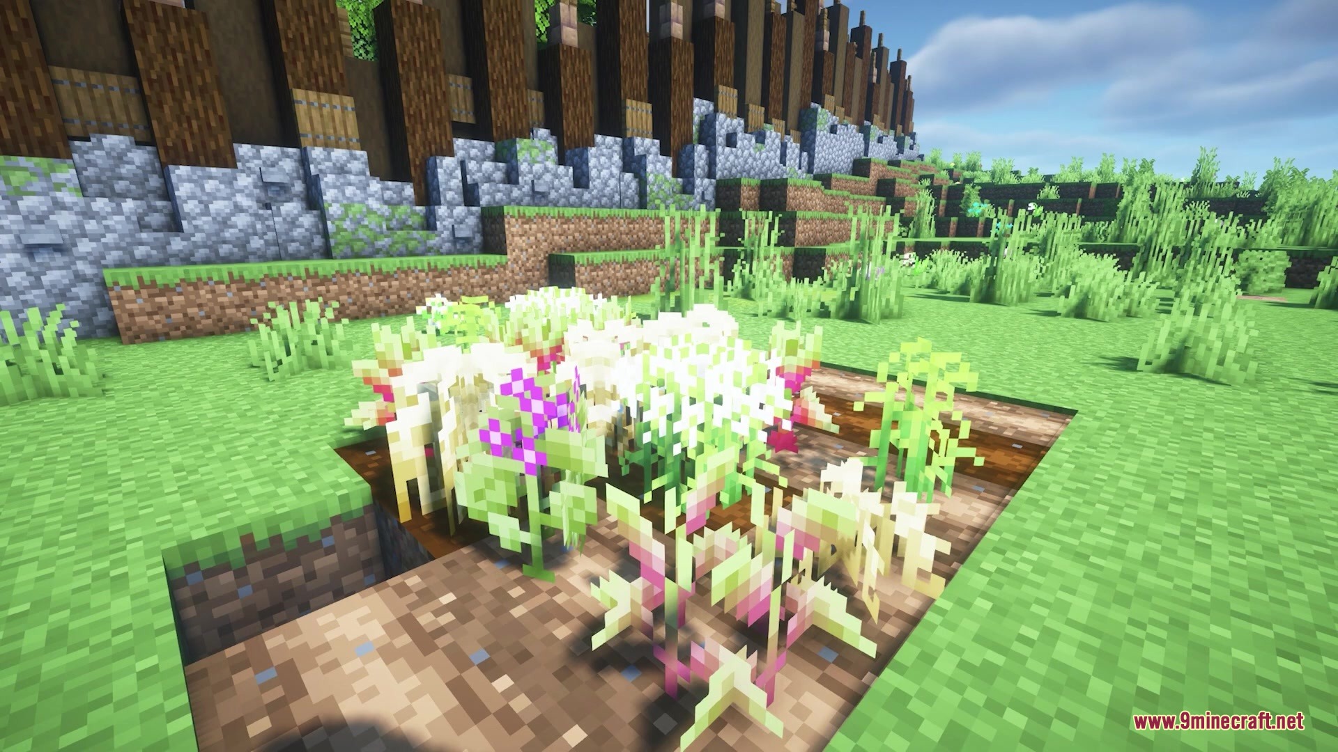 Os’ Crops Resource Pack (1.21.11, 1.20.1) – Organic Farms With Natural Crop 2 Close up view of diverse crops growing in a small farm plot