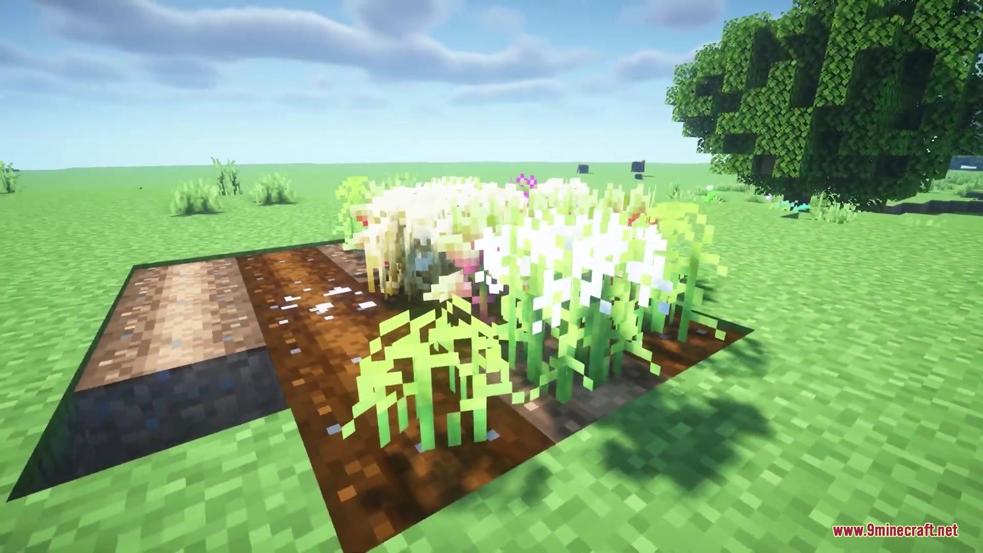 Os’ Crops Resource Pack (1.21.11, 1.20.1) – Organic Farms With Natural Crop 6 Minecraft farm plot showing crops with varied shapes and natural rotations