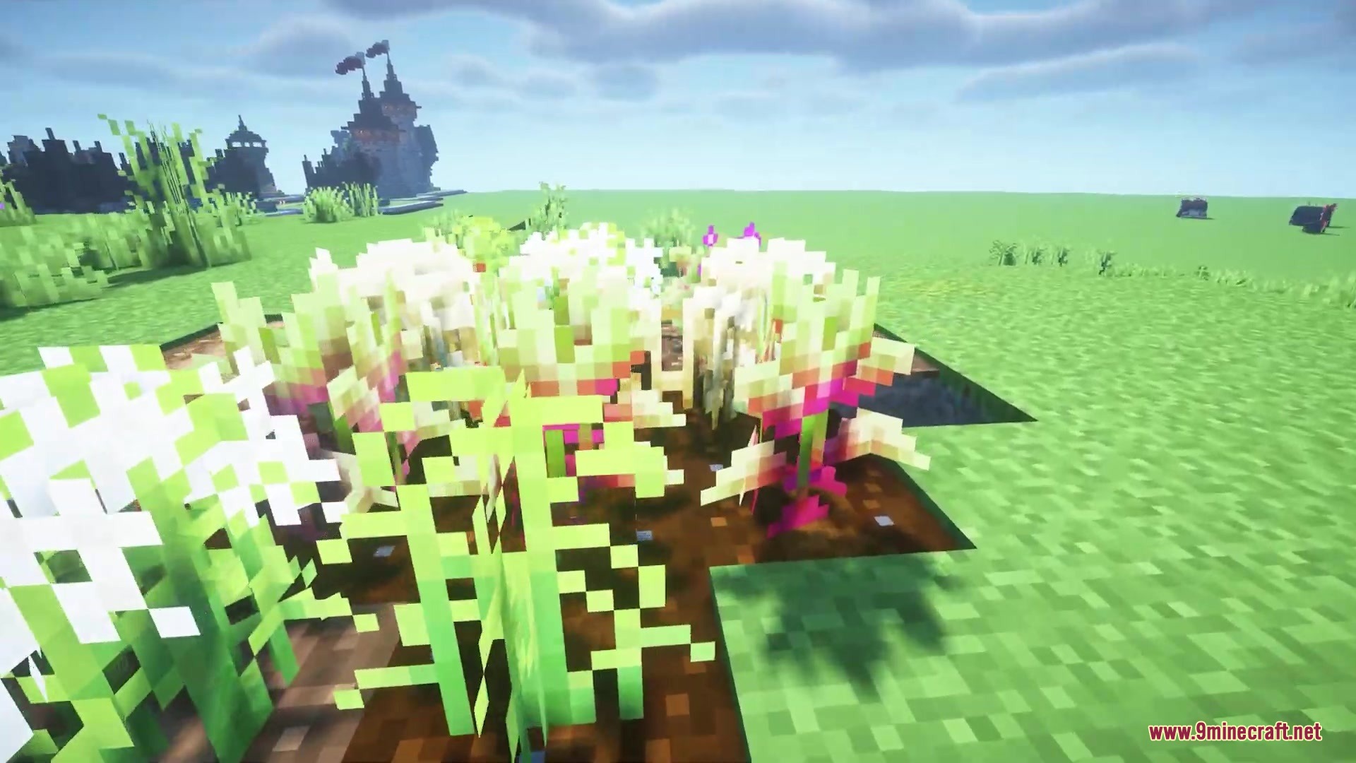 Os’ Crops Resource Pack (1.21.11, 1.20.1) – Organic Farms With Natural Crop 7 Close up of crops at different growth stages in a minecraft farm
